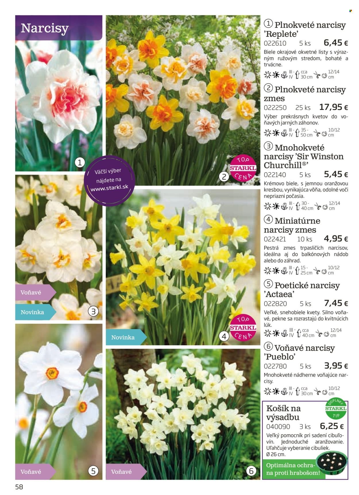 STARKL leták - auguste 2025 (2025-08-03) | 58