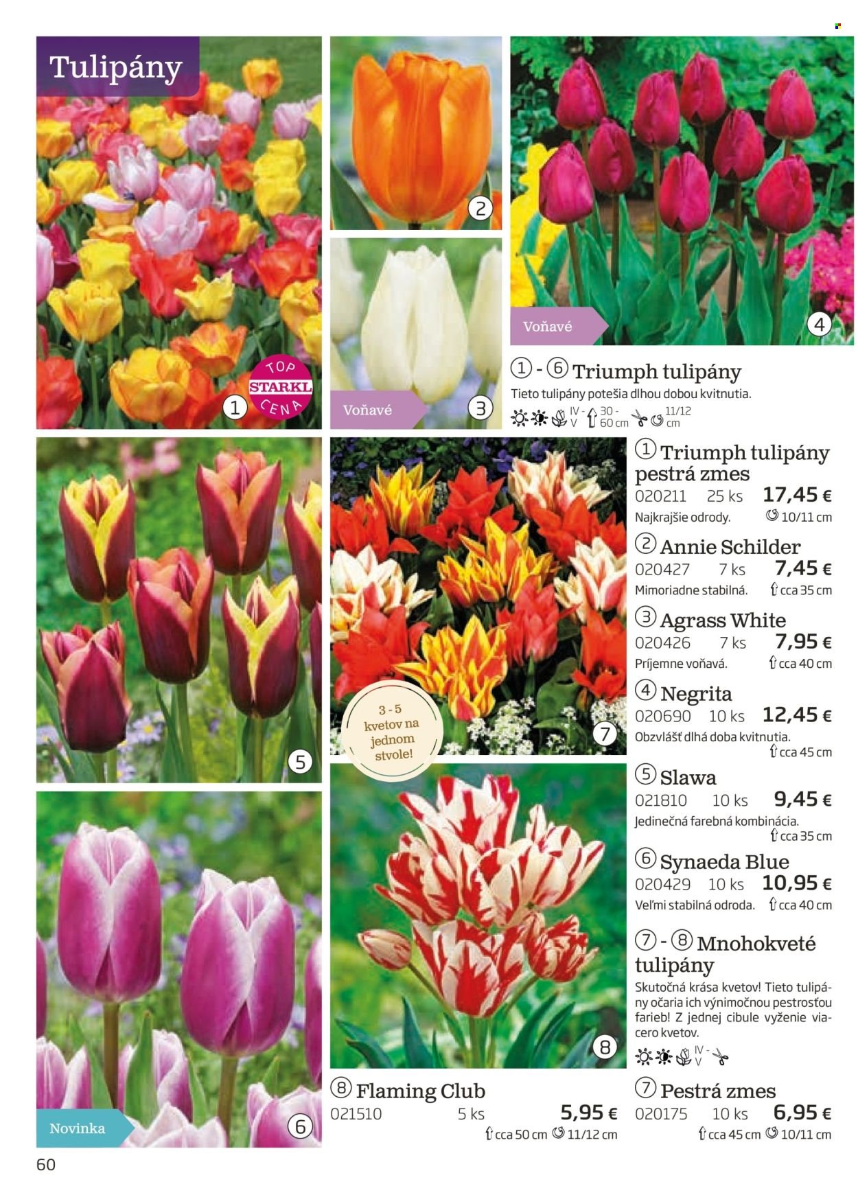 STARKL leták - auguste 2025 (2025-08-03) | 60