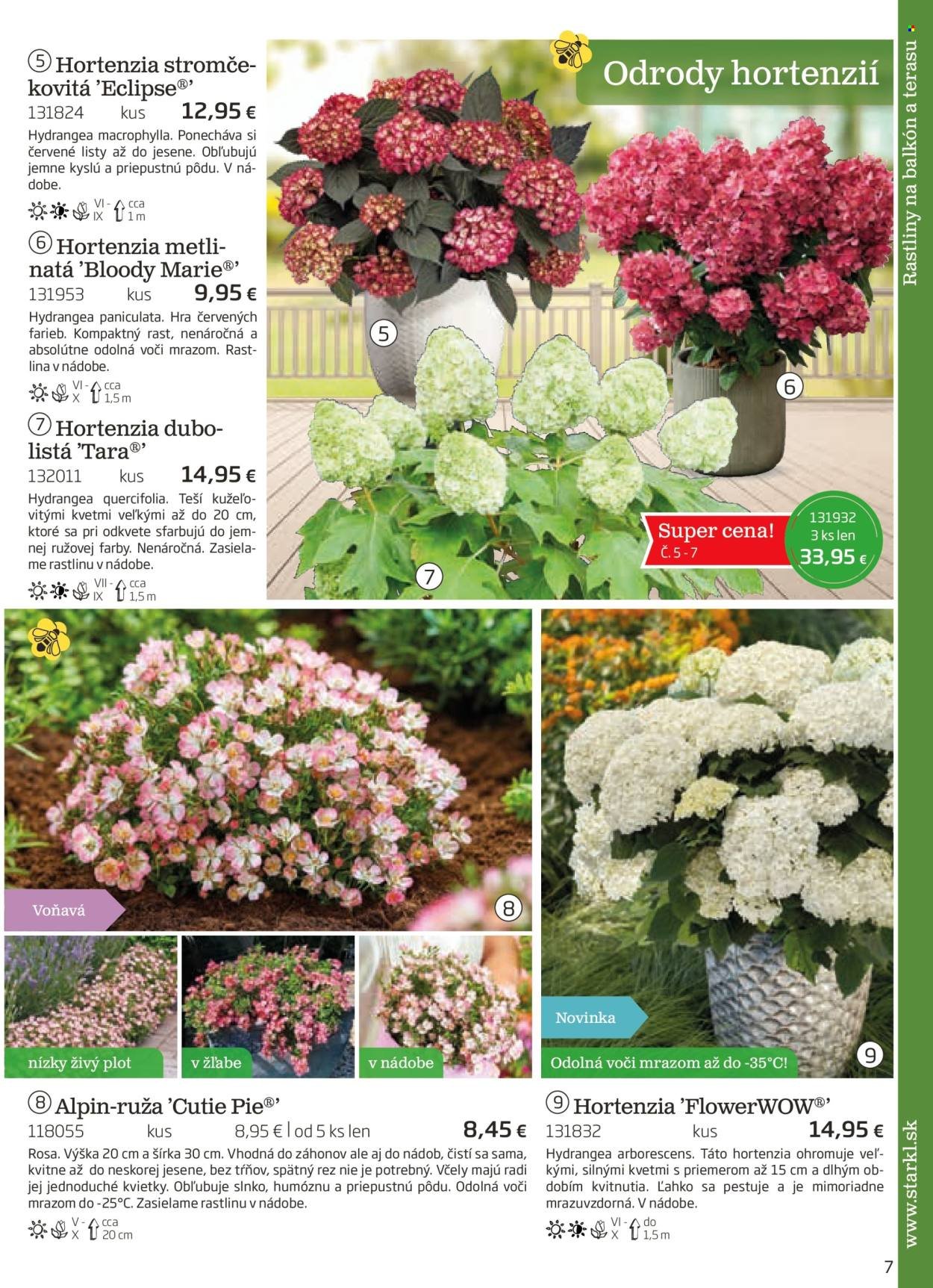 STARKL leták - auguste 2025 (2025-08-03) | 7