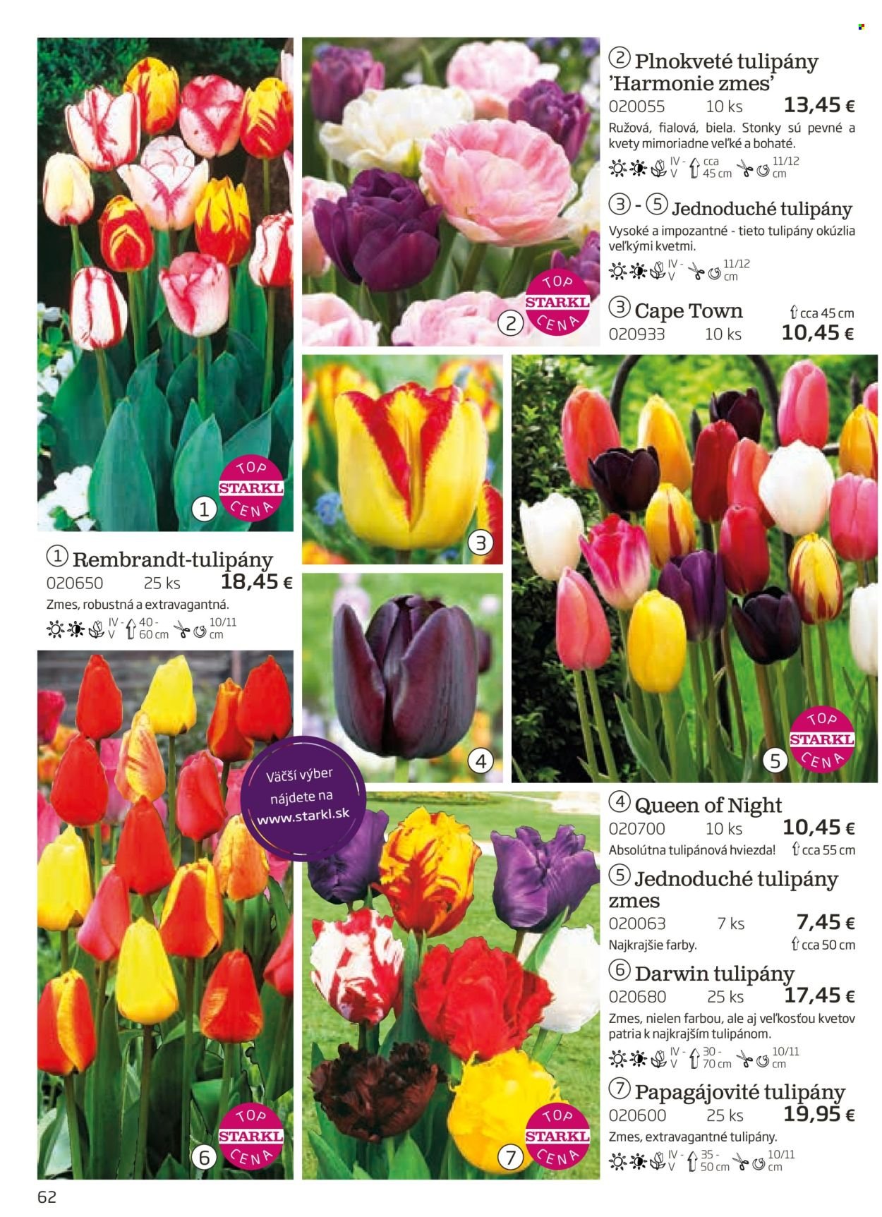 STARKL leták - auguste 2025 (2025-08-03) | 62