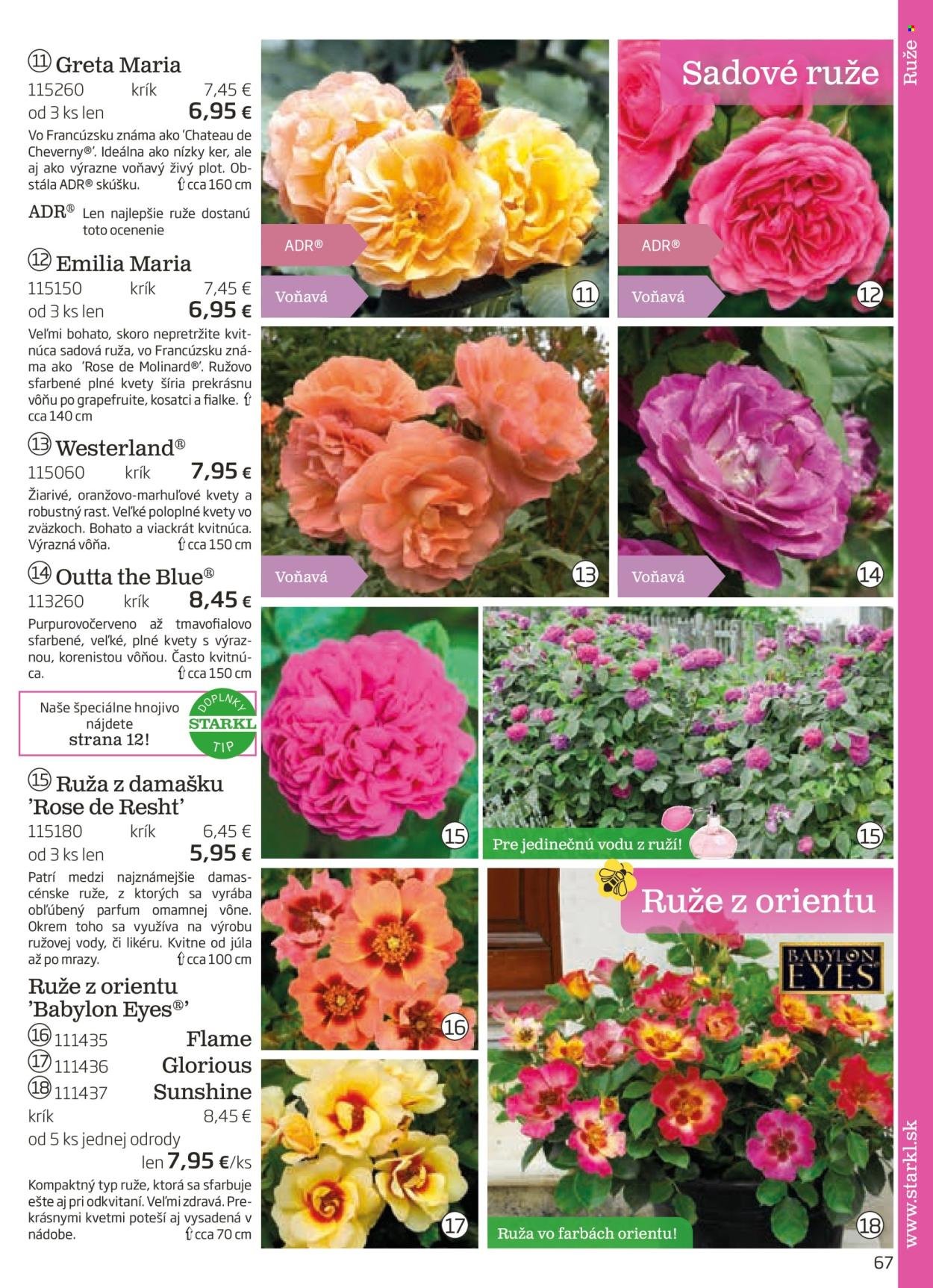 STARKL leták - auguste 2025 (2025-08-03) | 68