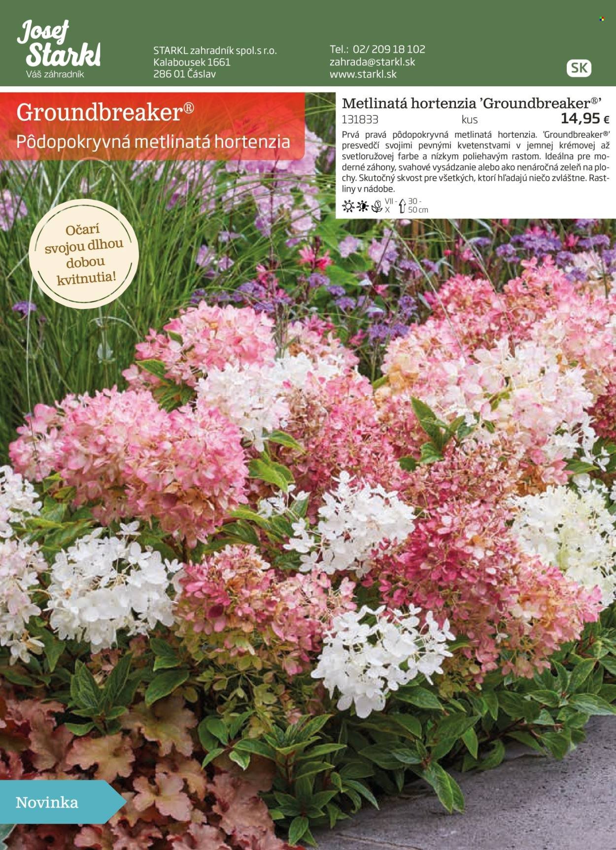 STARKL leták - auguste 2025 (2025-08-03) | 69