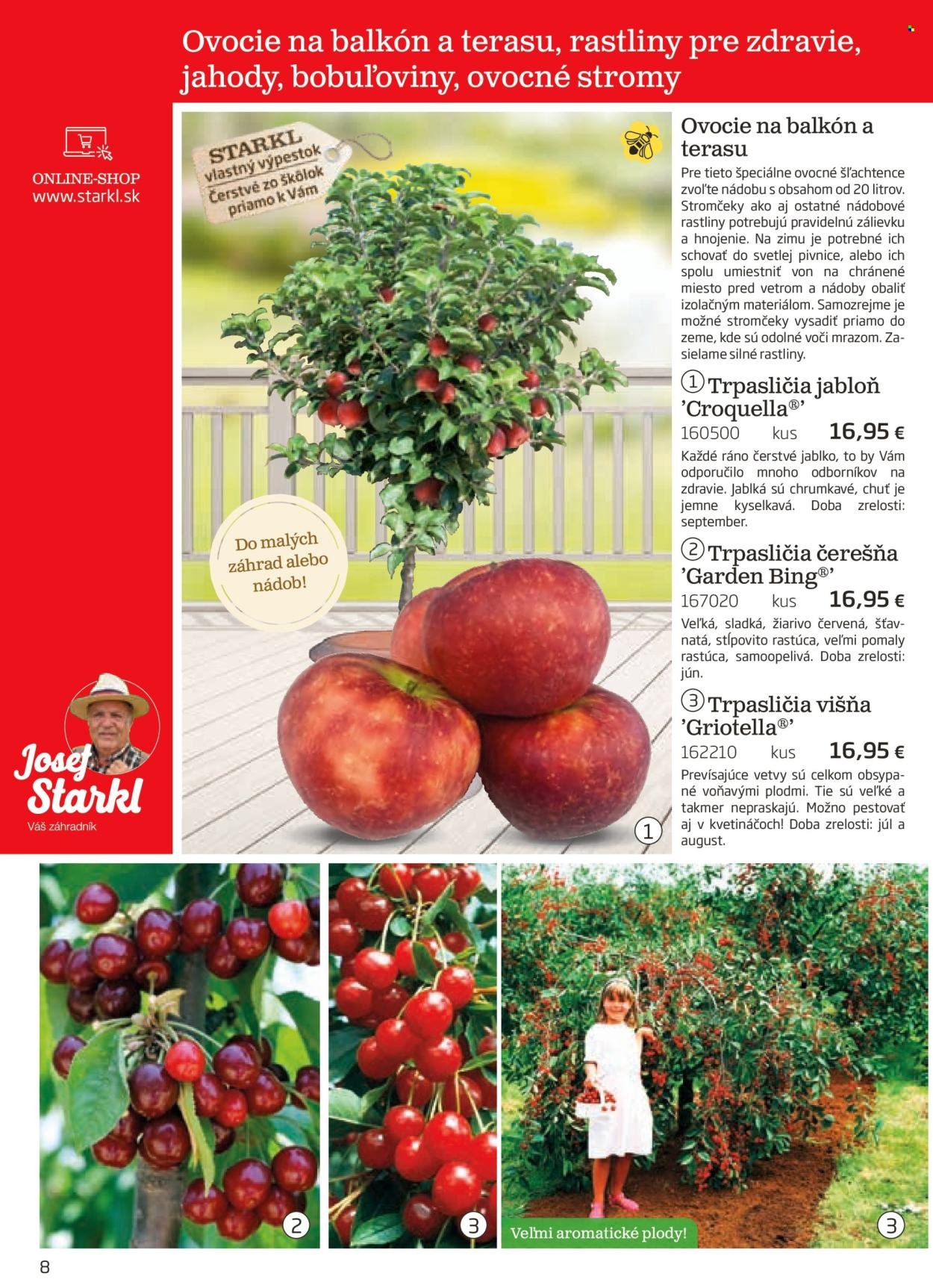 STARKL leták - auguste 2025 (2025-08-03) | 8