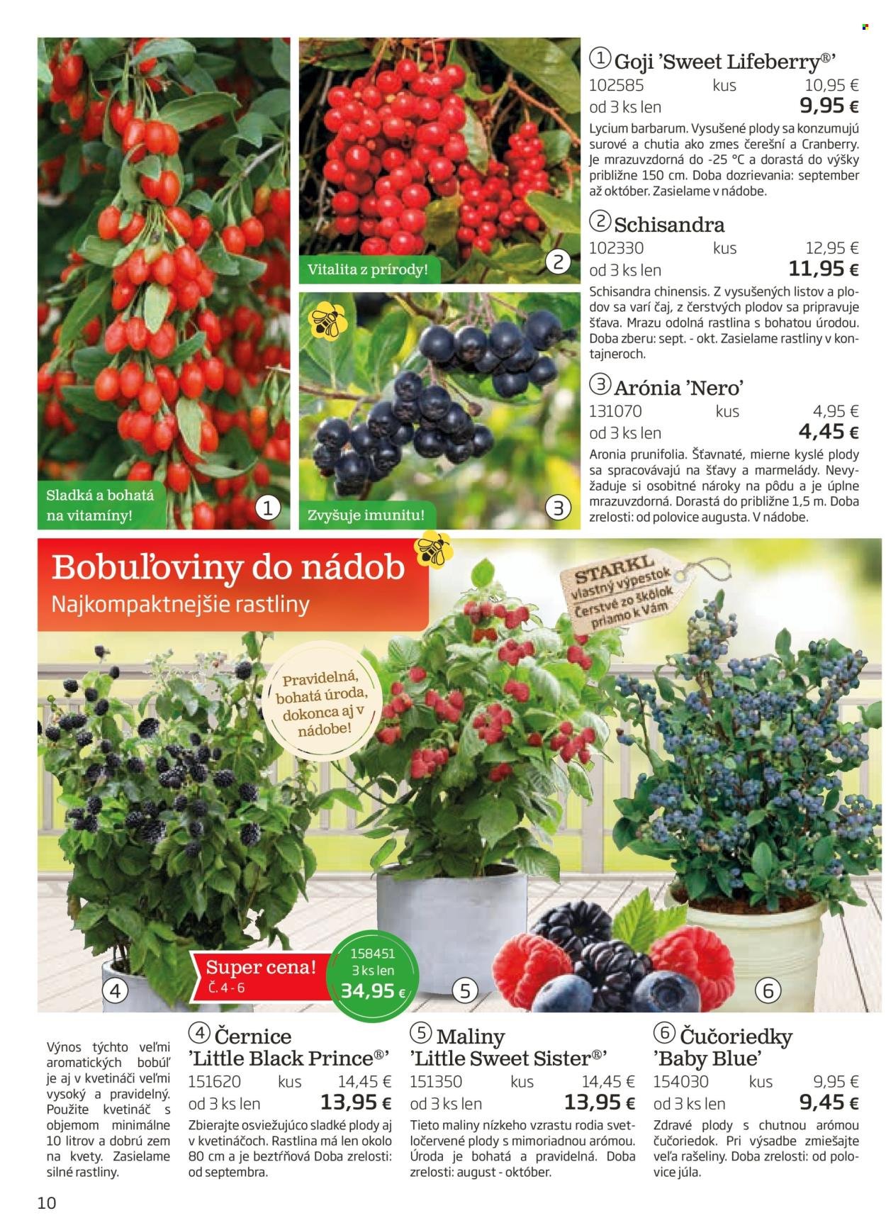 STARKL leták - auguste 2025 (2025-08-03) | 10