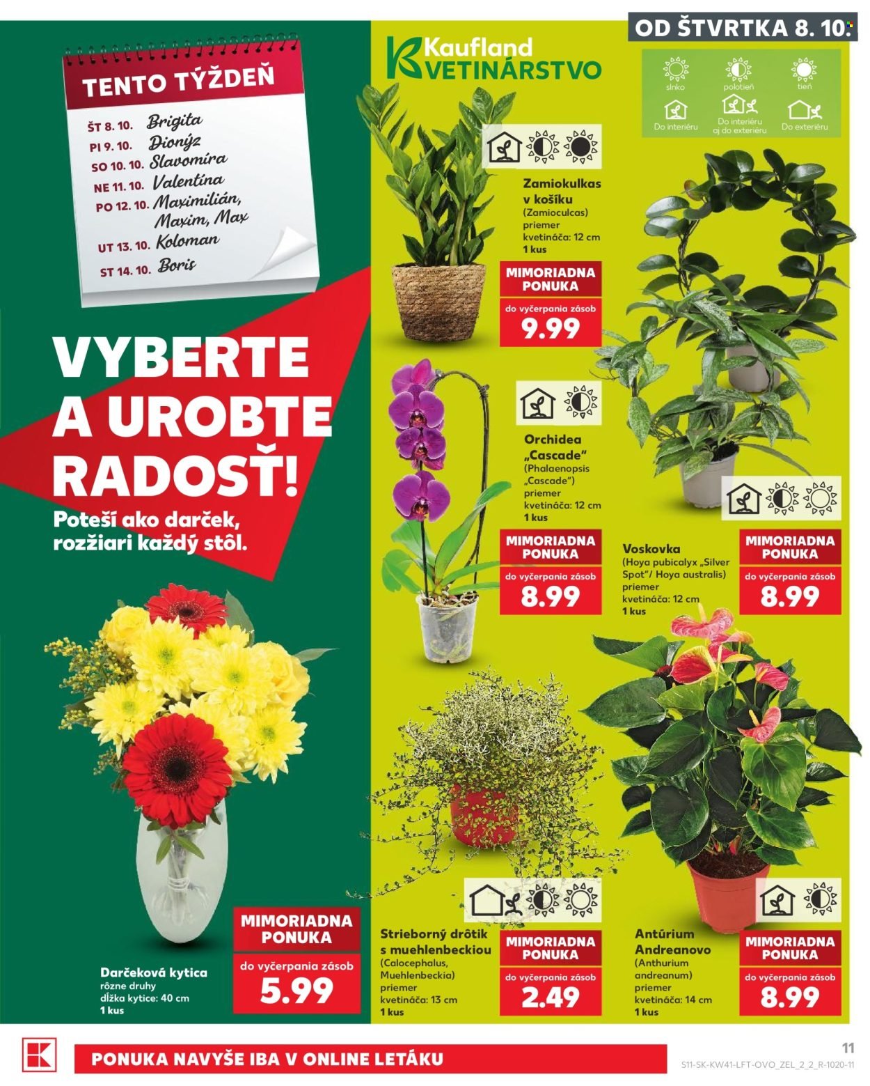 KAUFLAND leták - Od štvrtka 8.10.2026