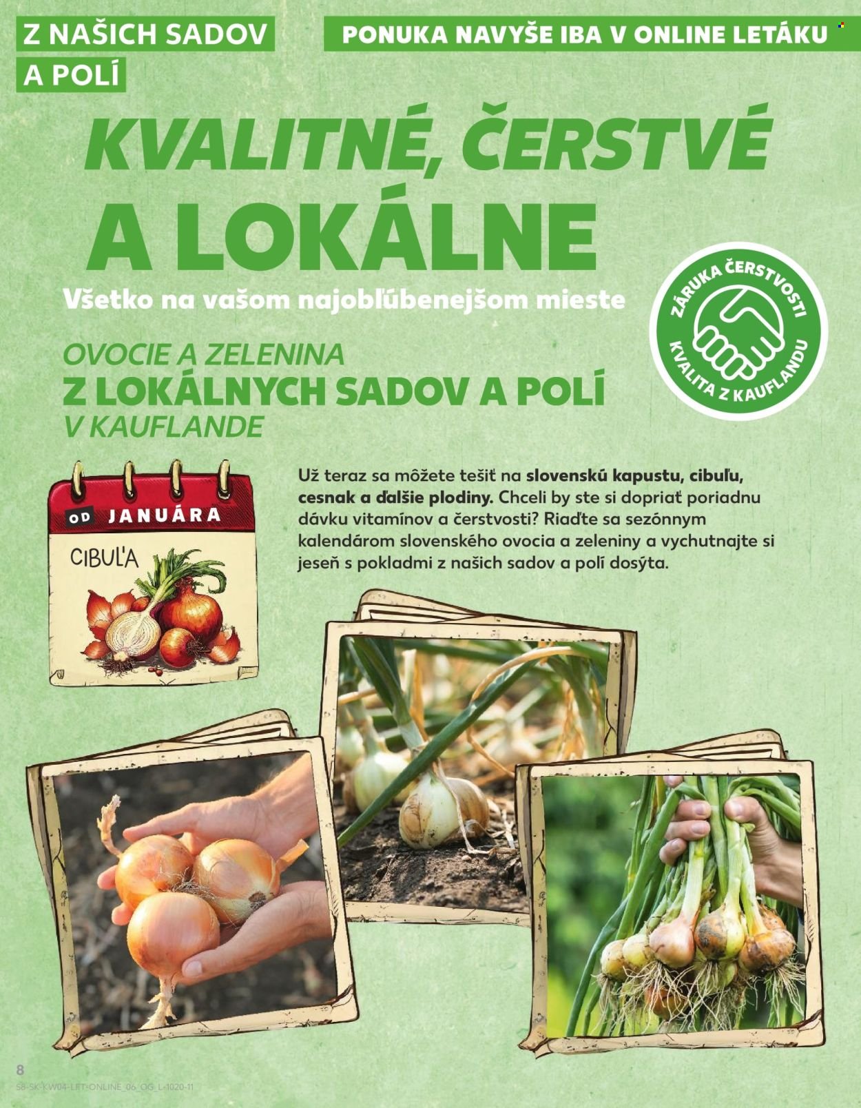 KAUFLAND leták - Od štvrtka 22.1.2026 (2026-01-22 - 2026-01-28) | 8