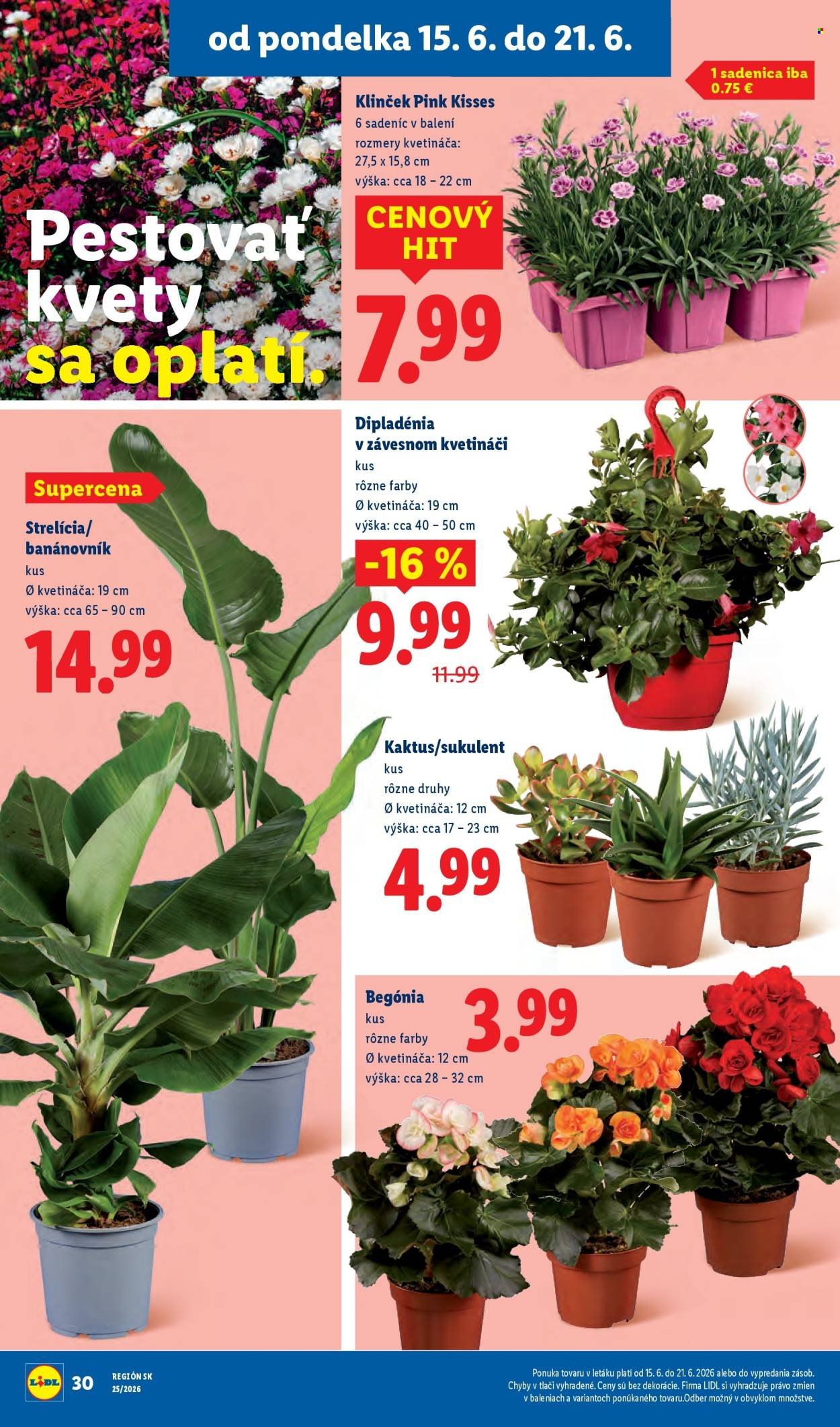 LIDL leták - Od pondelka 15.6.2026