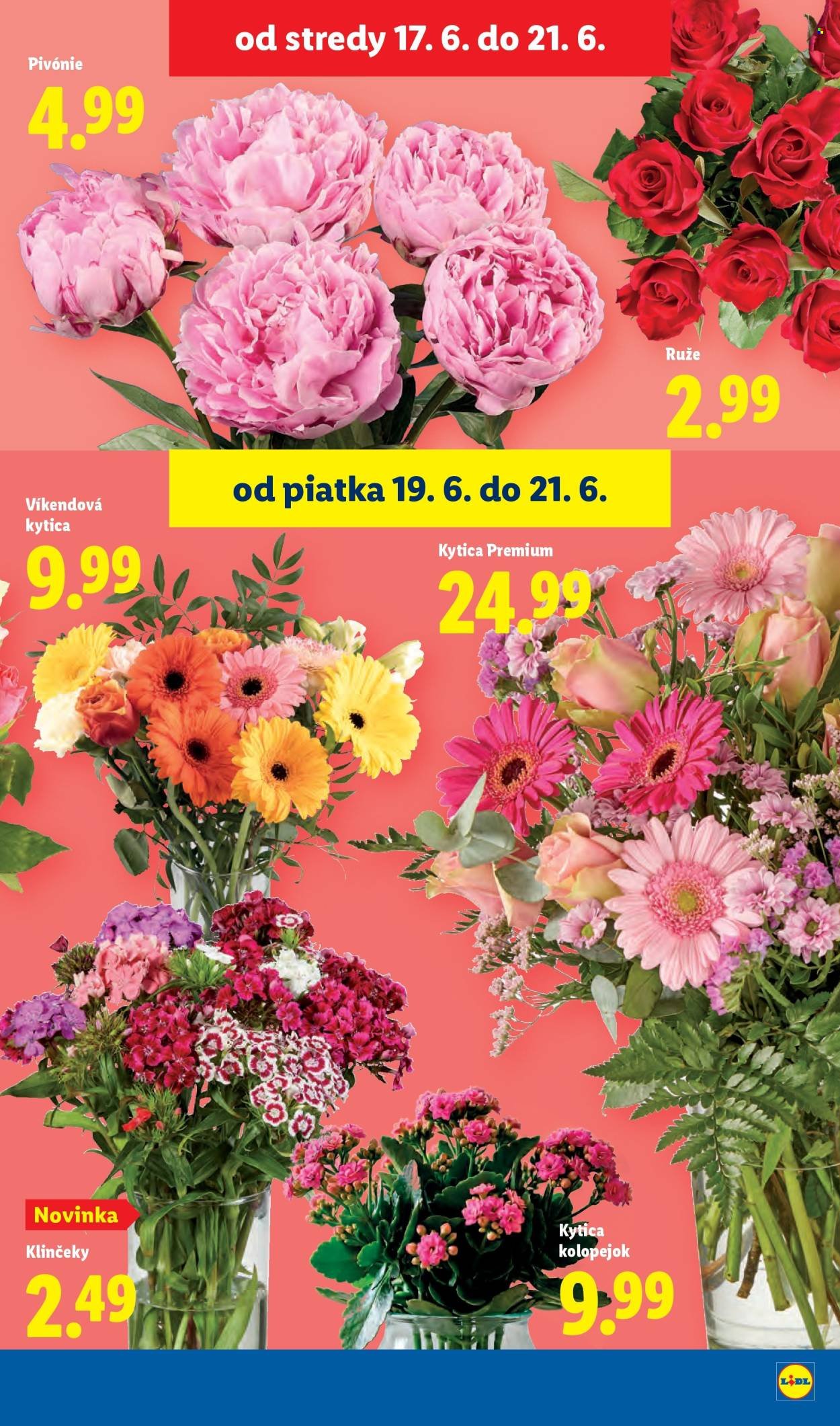 LIDL leták - Od pondelka 15.6.2026