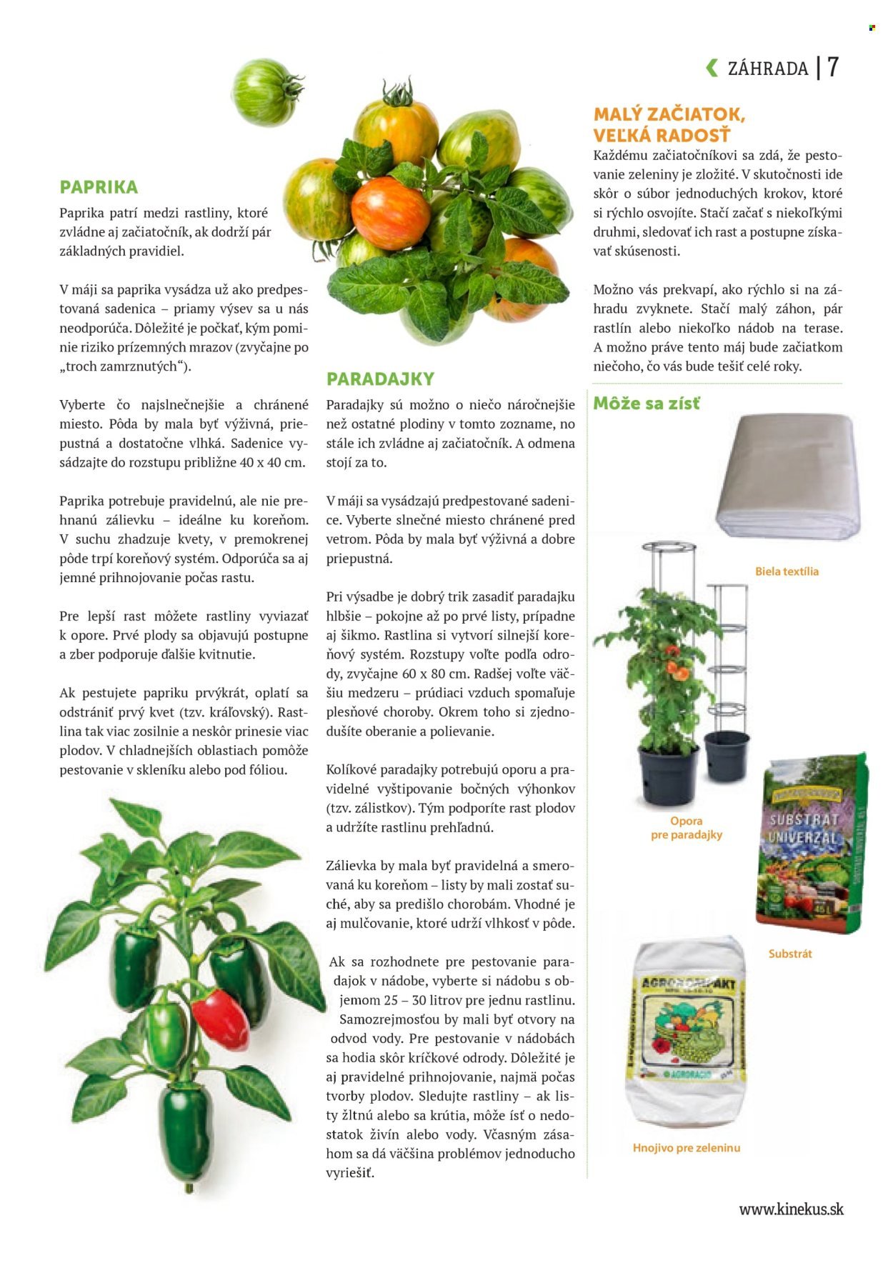 KINEKUS leták - K-Magazín Leto 2026