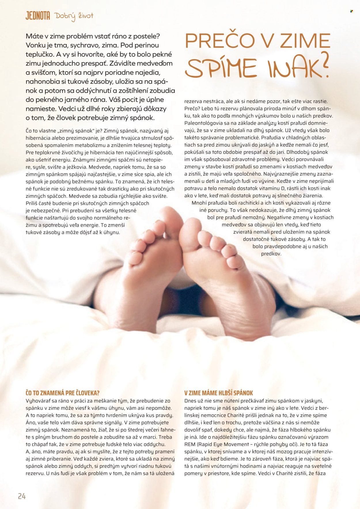 COOP JEDNOTA leták - Od štvrtka 1.1.2026 (2026-01-01 - 2026-01-31) | 24