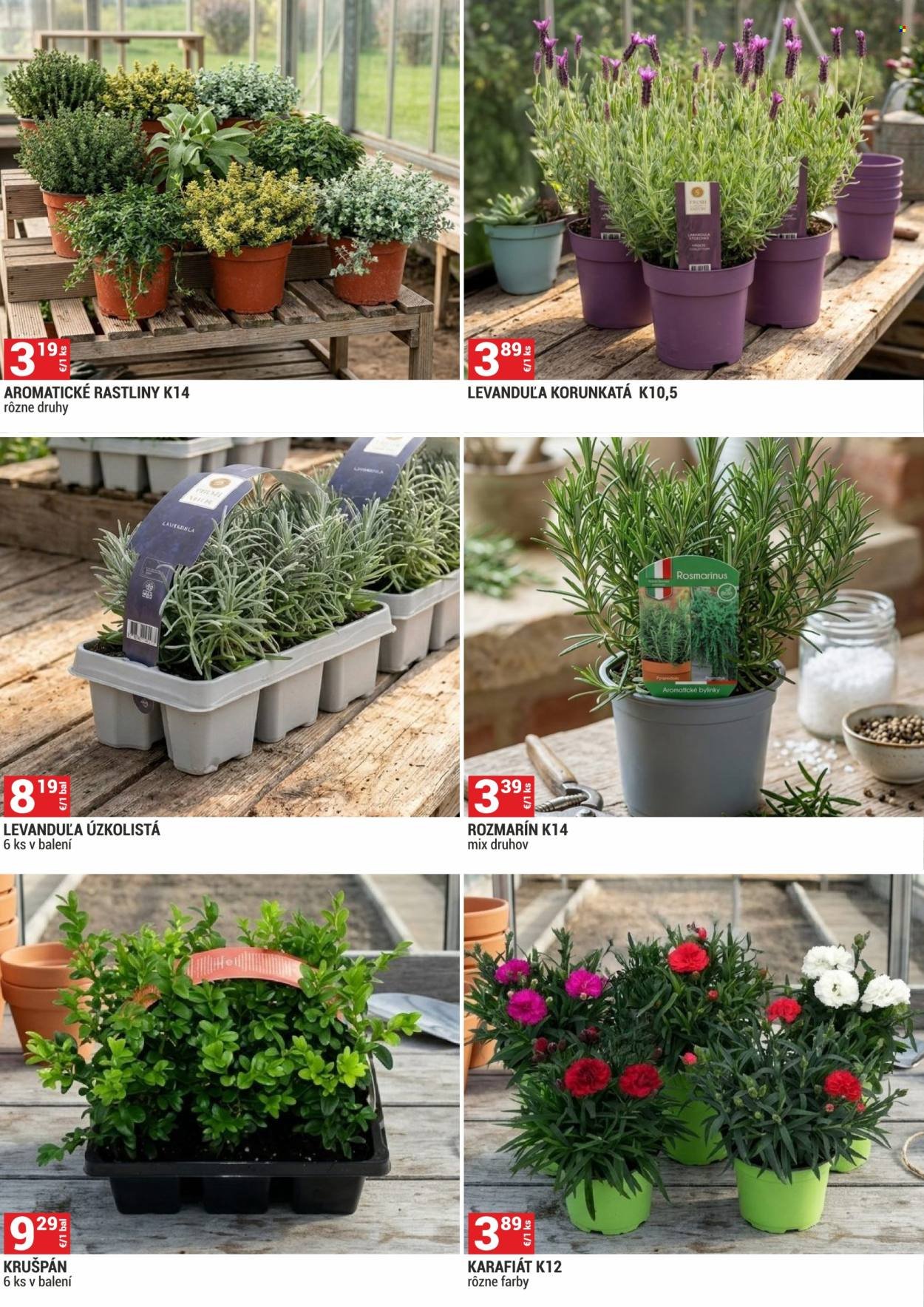 MERKURY MARKET leták - ZAHRADA (2026-04-01 - 2026-04-30) | 3