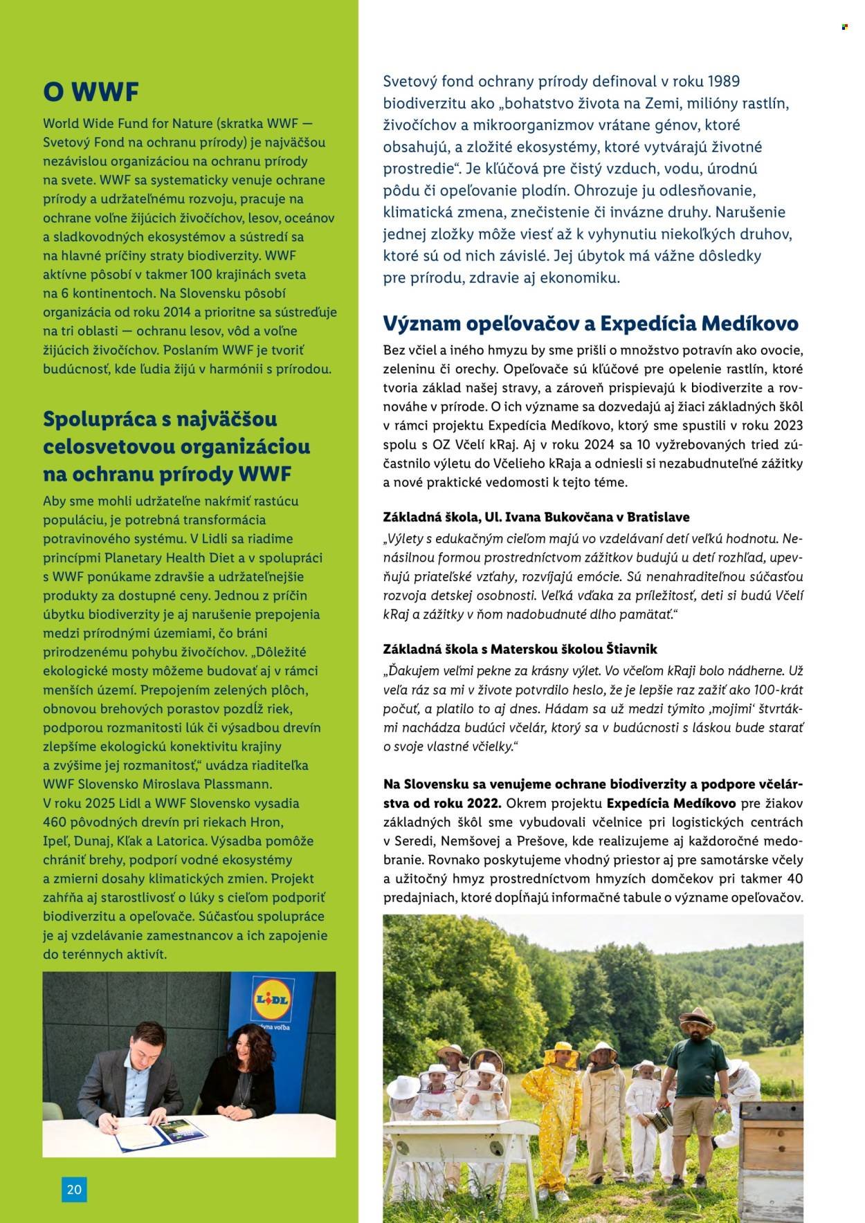 LIDL leták - decembri 2025 (2025-12-06) | 20