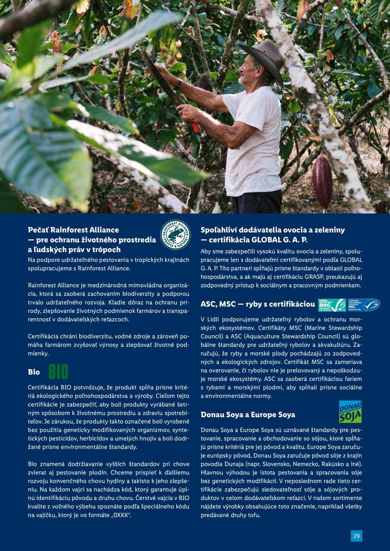 LIDL leták - decembri 2025 (2025-12-06) | 29