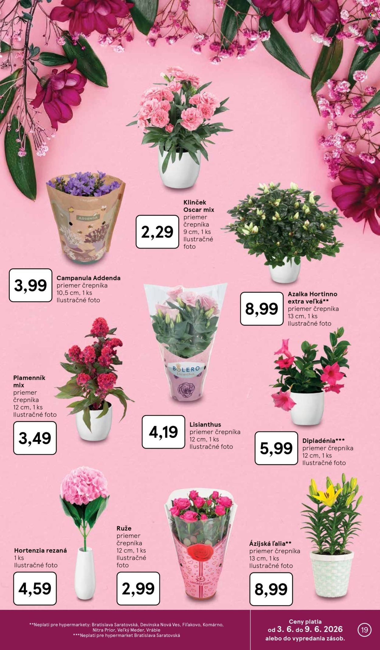 TESCO leták - Od stredy 3.6.2026