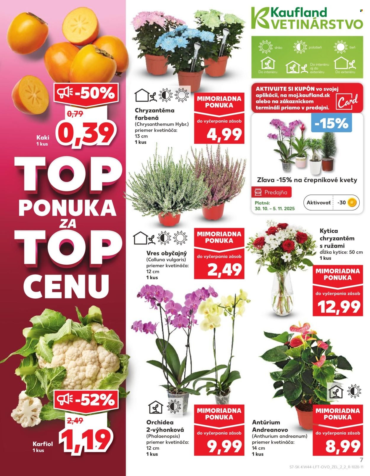 KAUFLAND leták - Od štvrtka 30.10.2025 (2025-10-30 - 2025-11-05) | 7