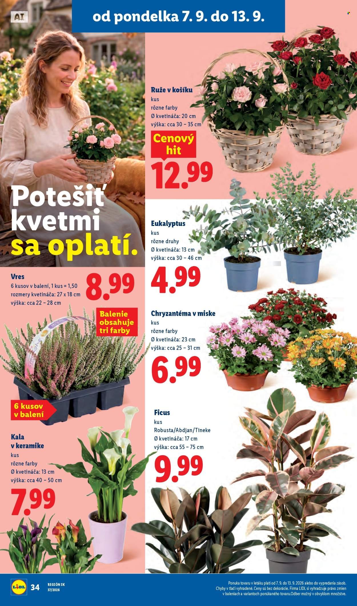 LIDL leták - Od pondelka 7.9.2026