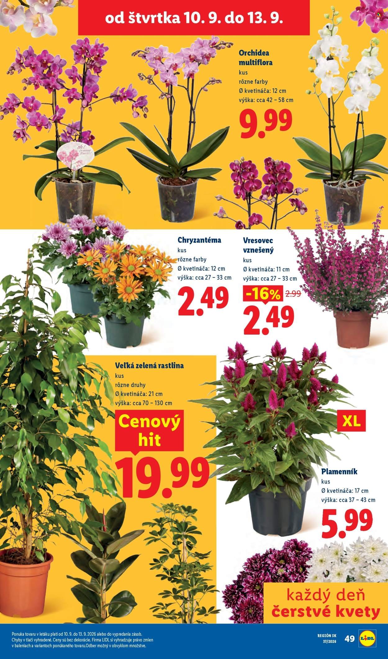 LIDL leták - Od pondelka 7.9.2026
