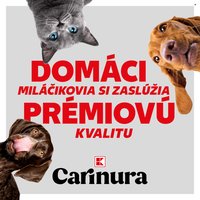 KAUFLAND leták - DOMÁCI MILÁČIKOVIA SI ZASLÚŽIA PRÉMIOVÚ KVALITU