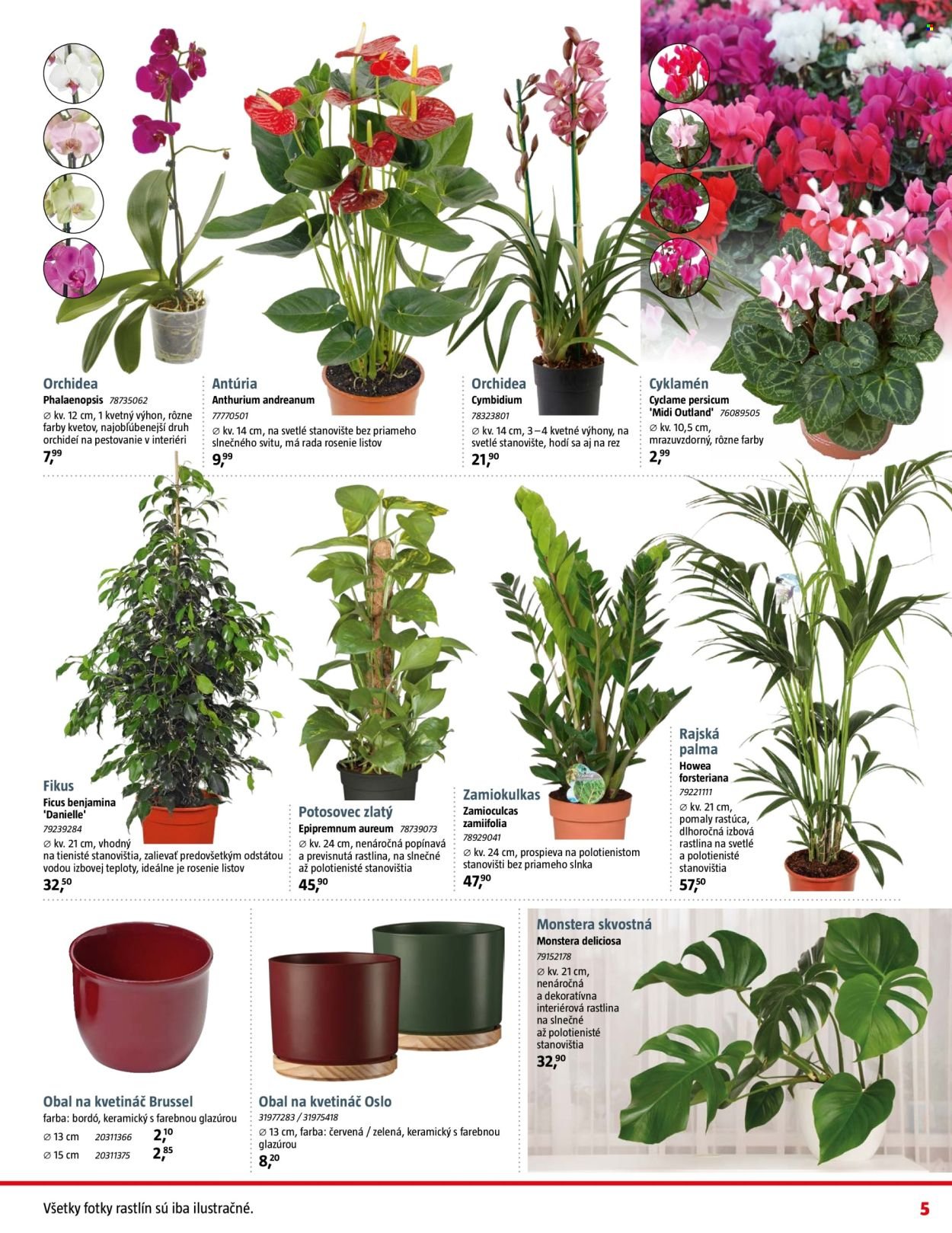 BAUHAUS leták - Aktuálna ponuka (2025-11-03 - 2025-12-07) | 5