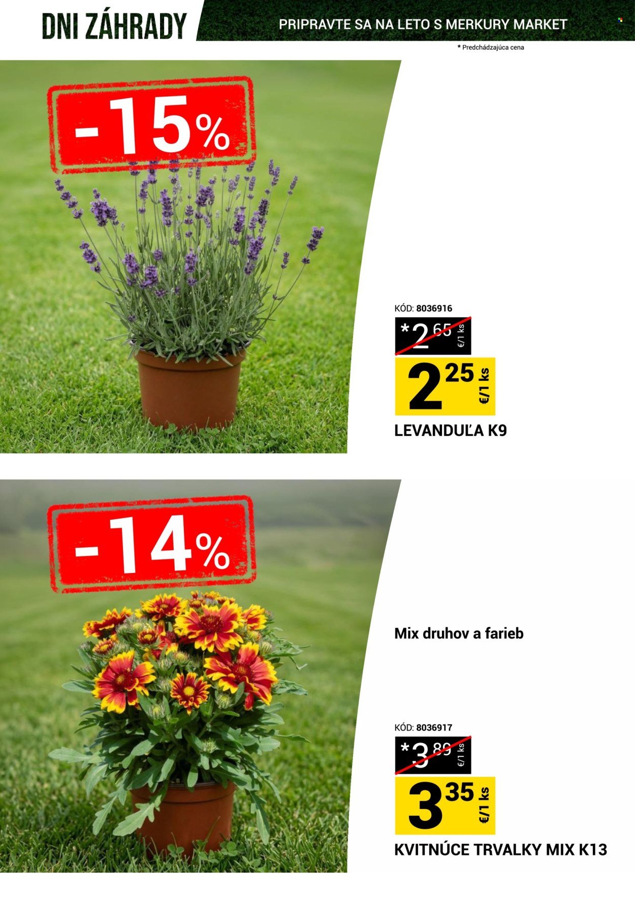 MERKURY MARKET leták - Dni záhrady (2026-05-23 - 2026-05-31) | 12