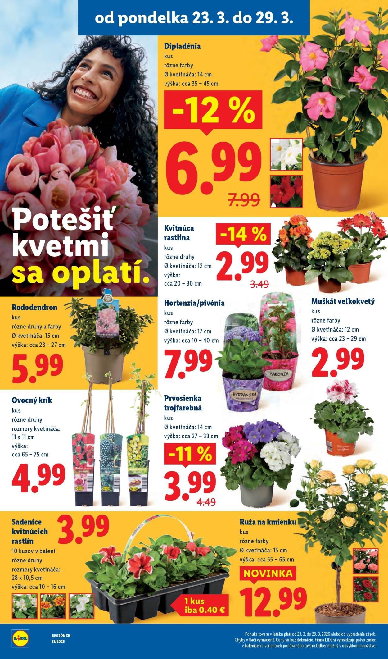 LIDL leták - Od pondelka 23.3.2026 (2026-03-23 - 2026-03-29) | 39