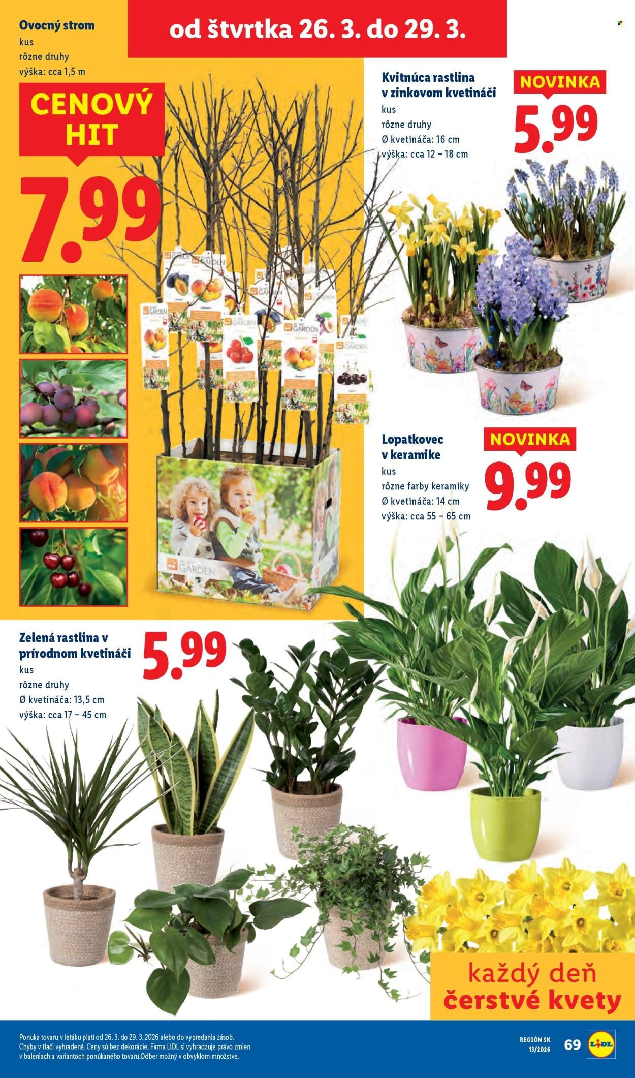 LIDL leták - Od pondelka 23.3.2026 (2026-03-23 - 2026-03-29) | 80