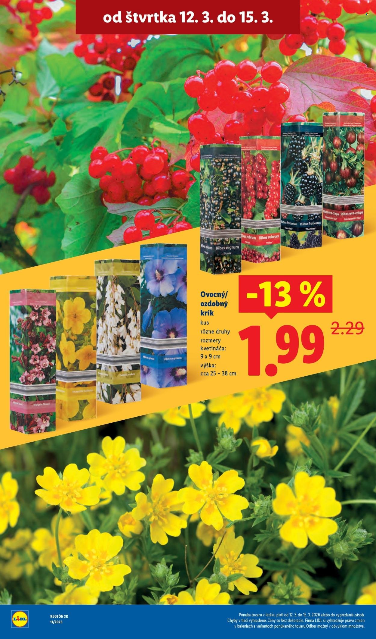 LIDL leták - Od štvrtka 12.3.2026 (2026-03-12 - 2026-03-15) | 26