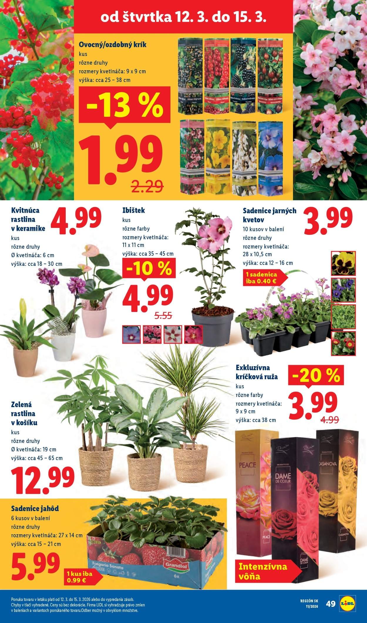 LIDL leták - Od štvrtka 12.3.2026 (2026-03-12 - 2026-03-15) | 27