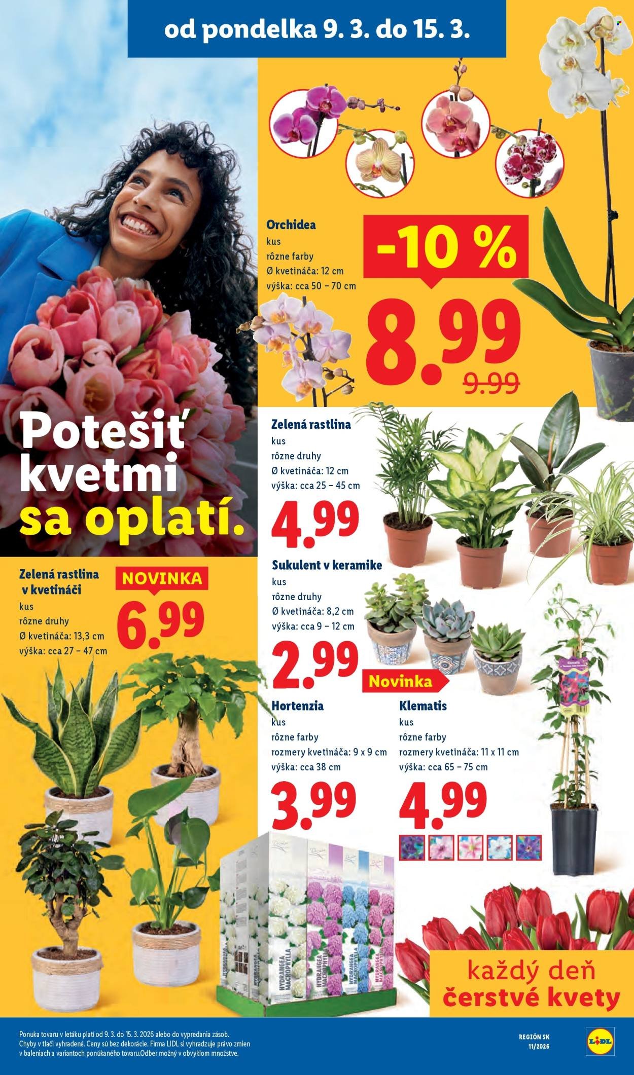 LIDL leták - Od štvrtka 12.3.2026 (2026-03-12 - 2026-03-15) | 80