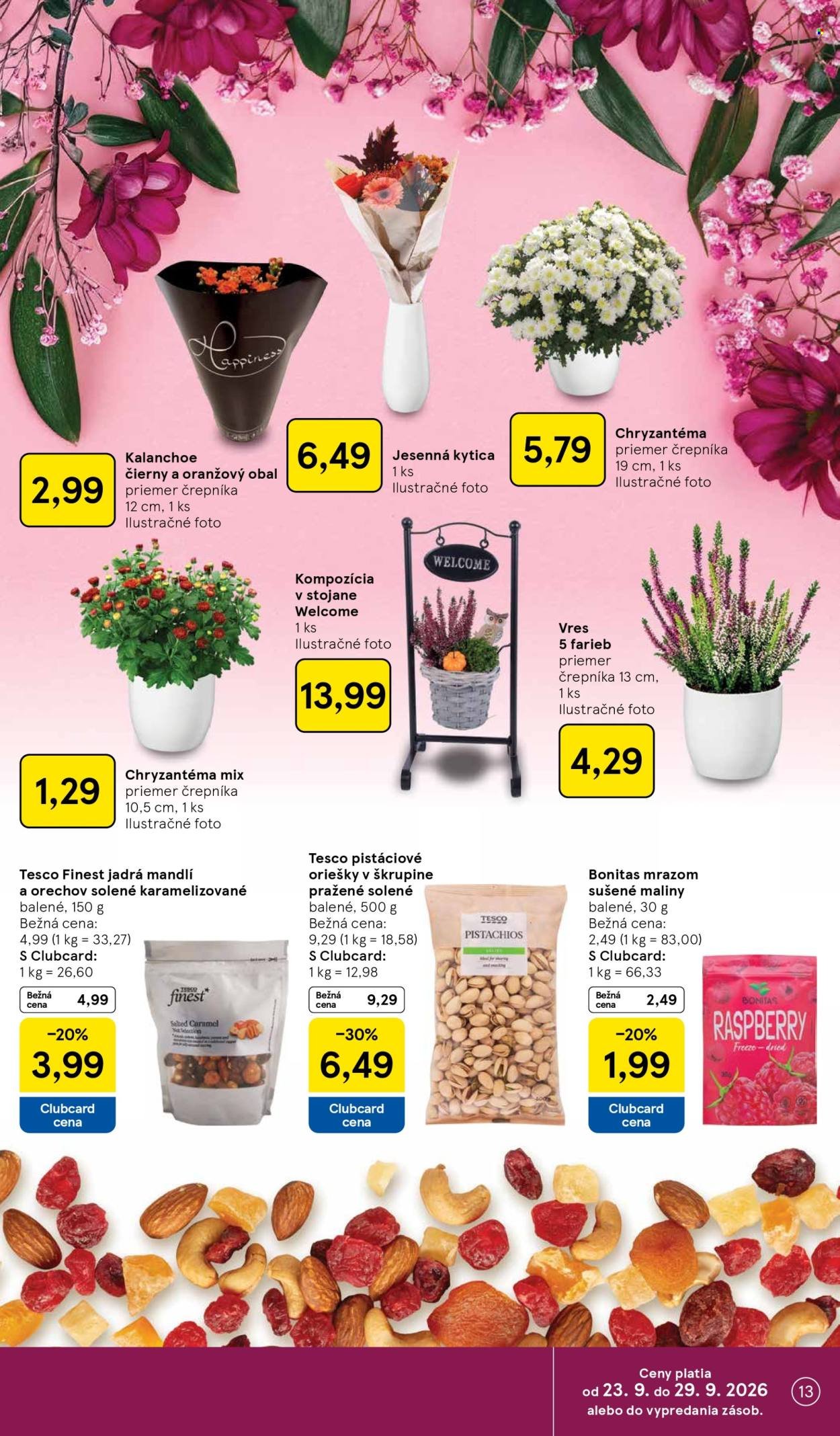 TESCO leták - Od stredy 23.9.2026