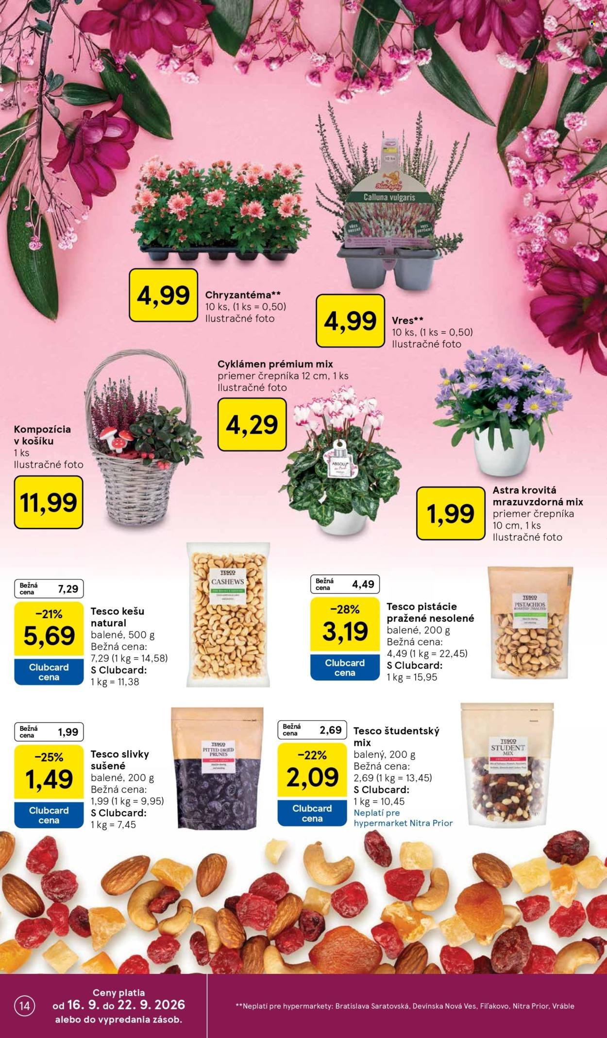 TESCO leták - Od stredy 16.9.2026