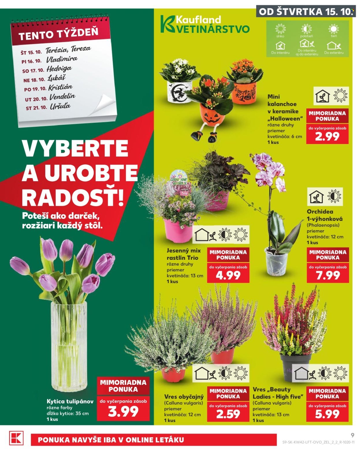 KAUFLAND leták - Od štvrtka 15.10.2026