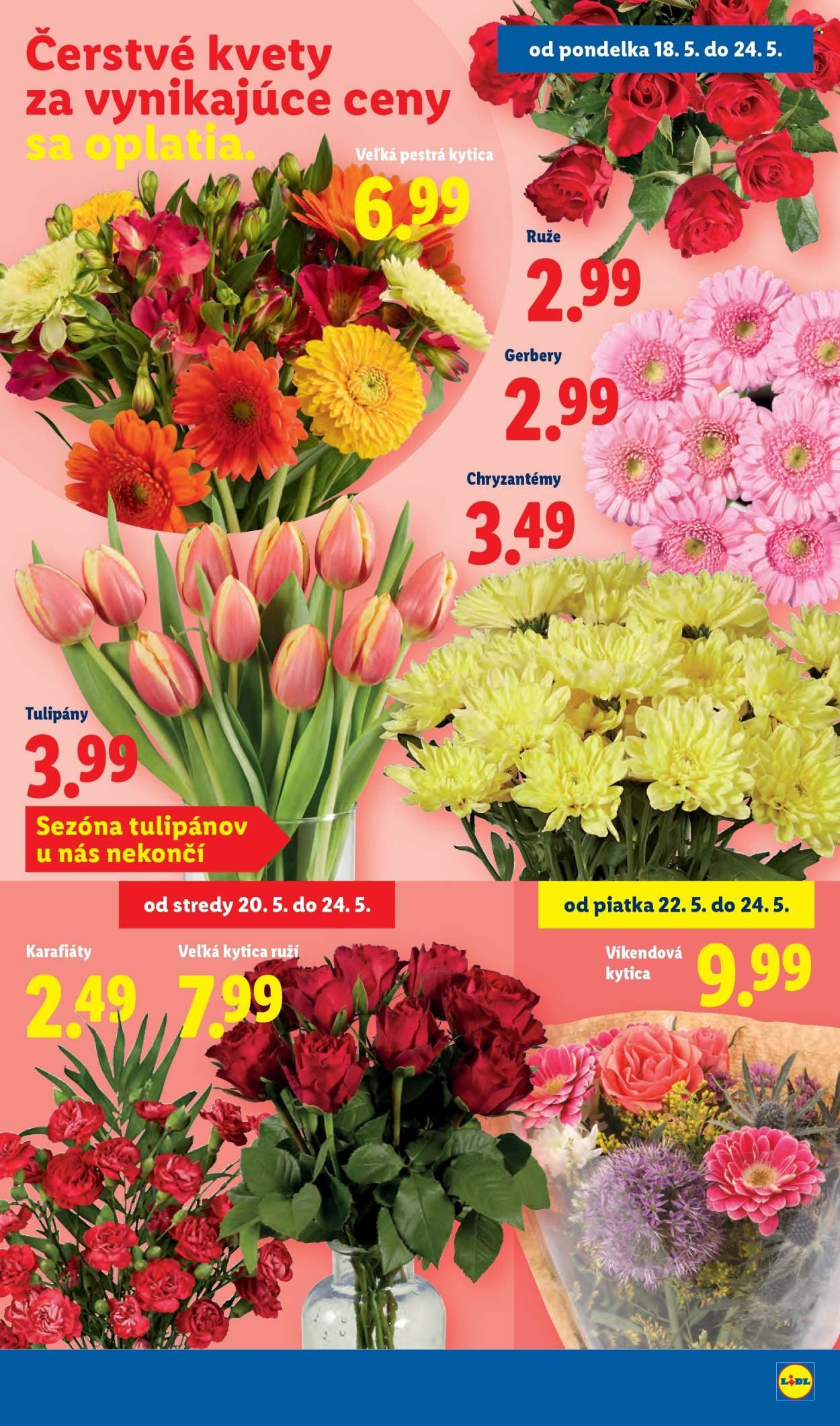 LIDL leták - Od pondelka 18.5.2026 (2026-05-18 - 2026-05-24) | 33