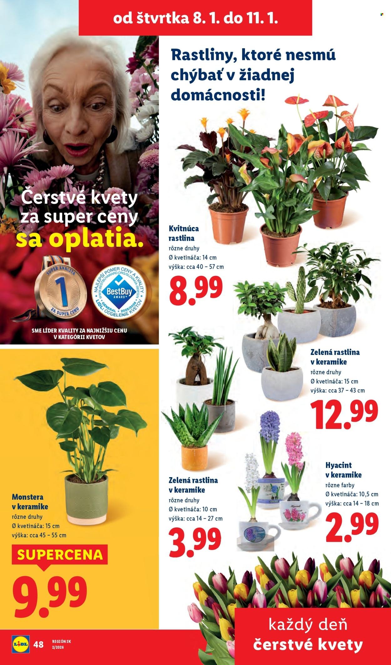 LIDL leták - Od štvrtka 8.1.2026 (2026-01-08 - 2026-01-11) | 31