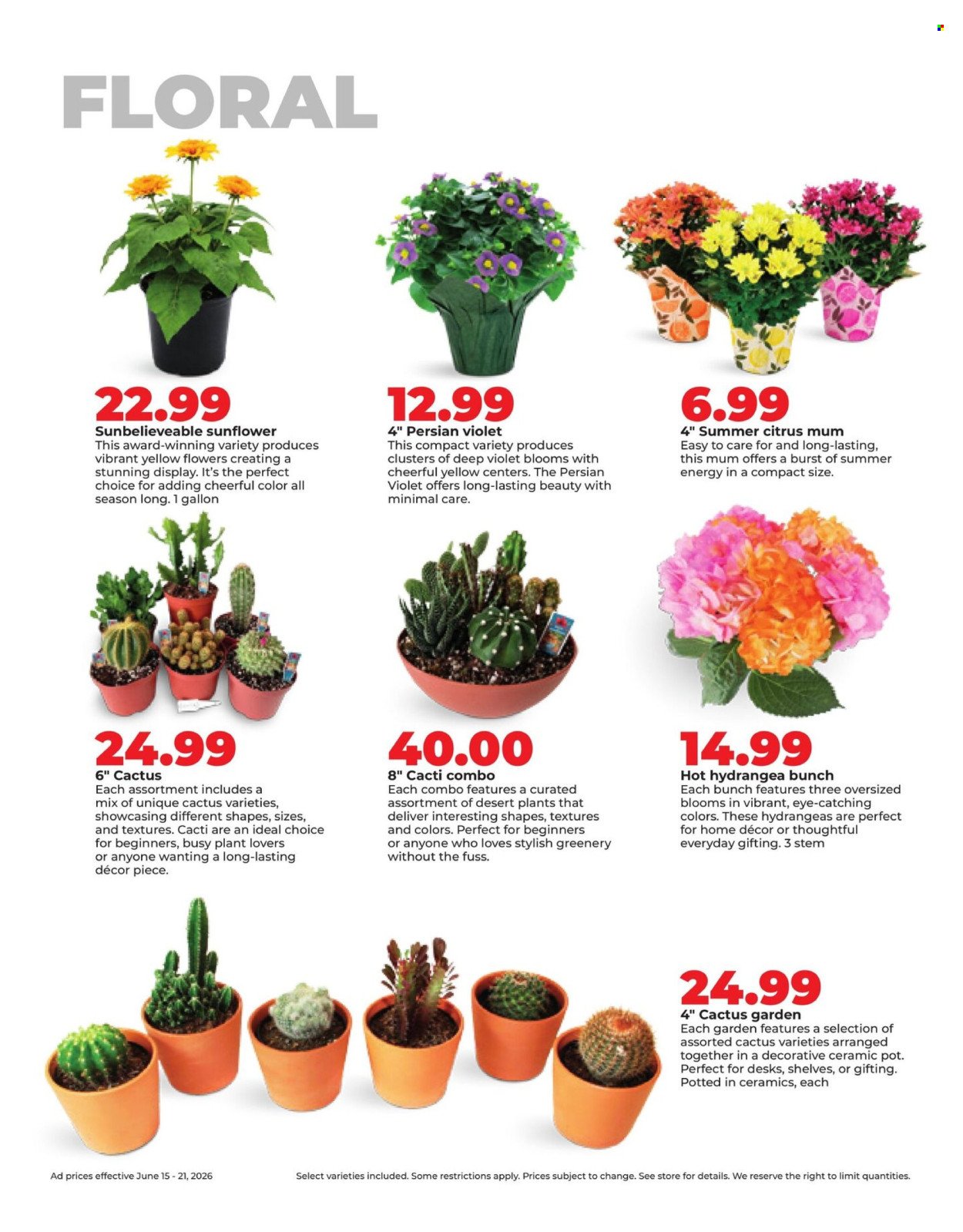 HY-VEE ad - Weekly Ad