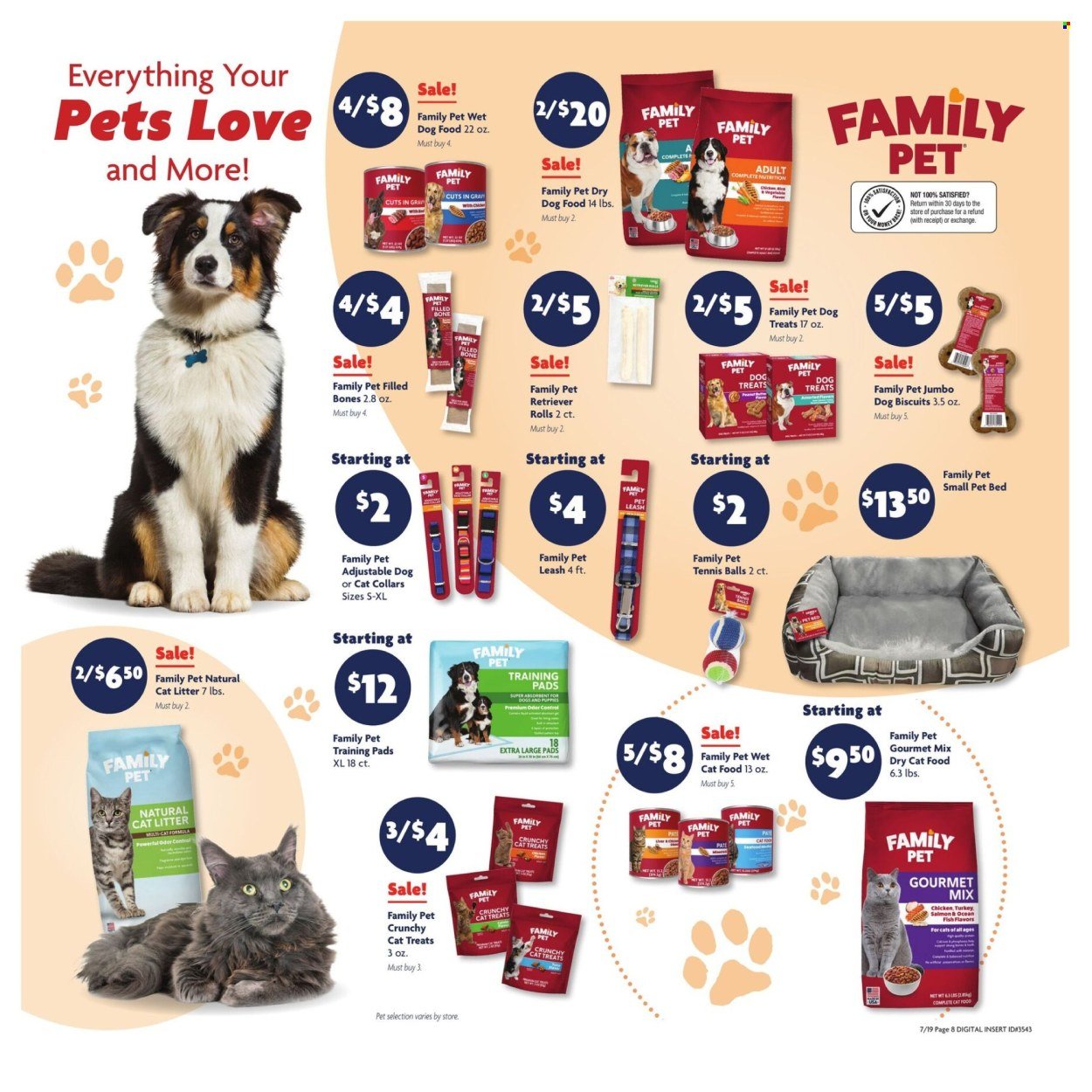 FAMILY DOLLAR ad - Current Ad