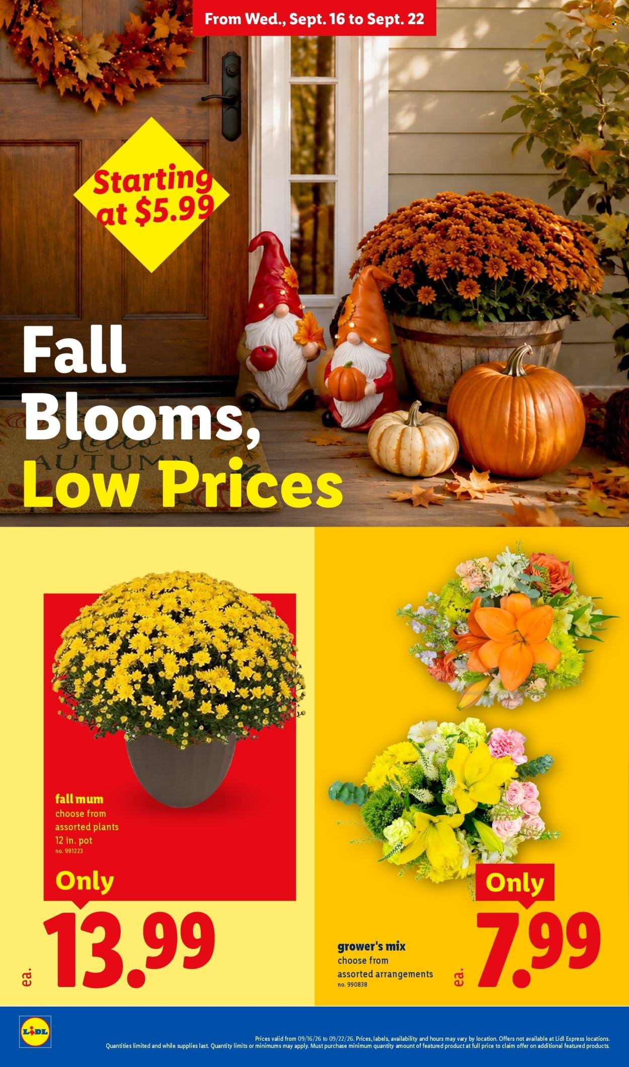 LIDL ad - Weekly Ad