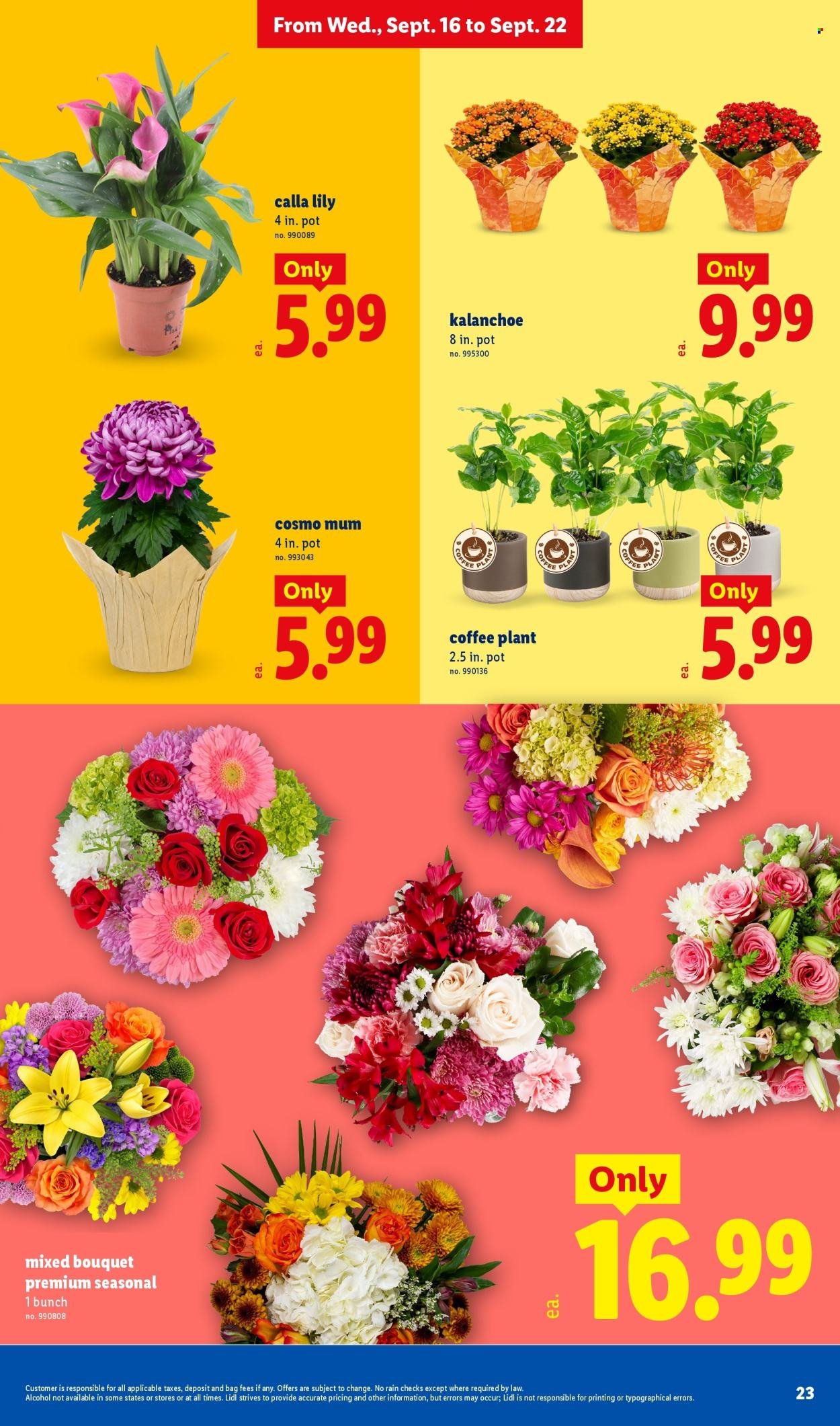 LIDL ad - Weekly Ad