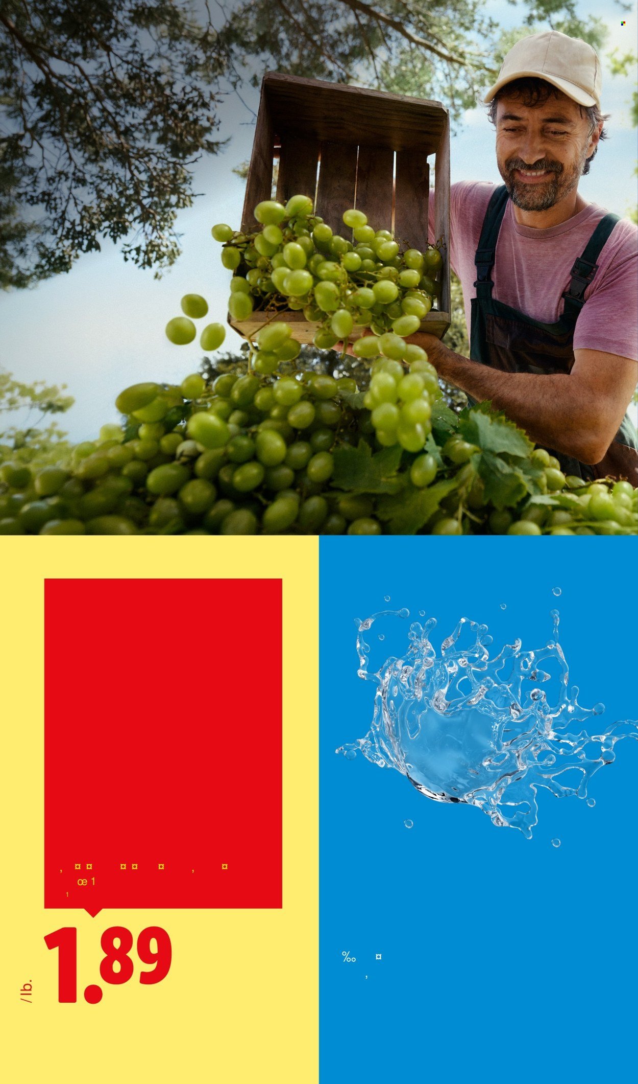 LIDL ad - Weekly Ad