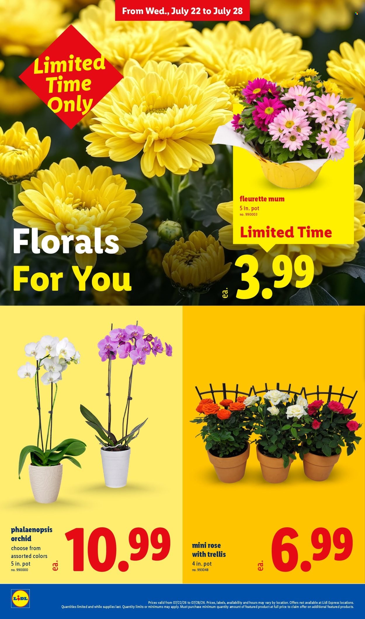 LIDL ad - Weekly Ad