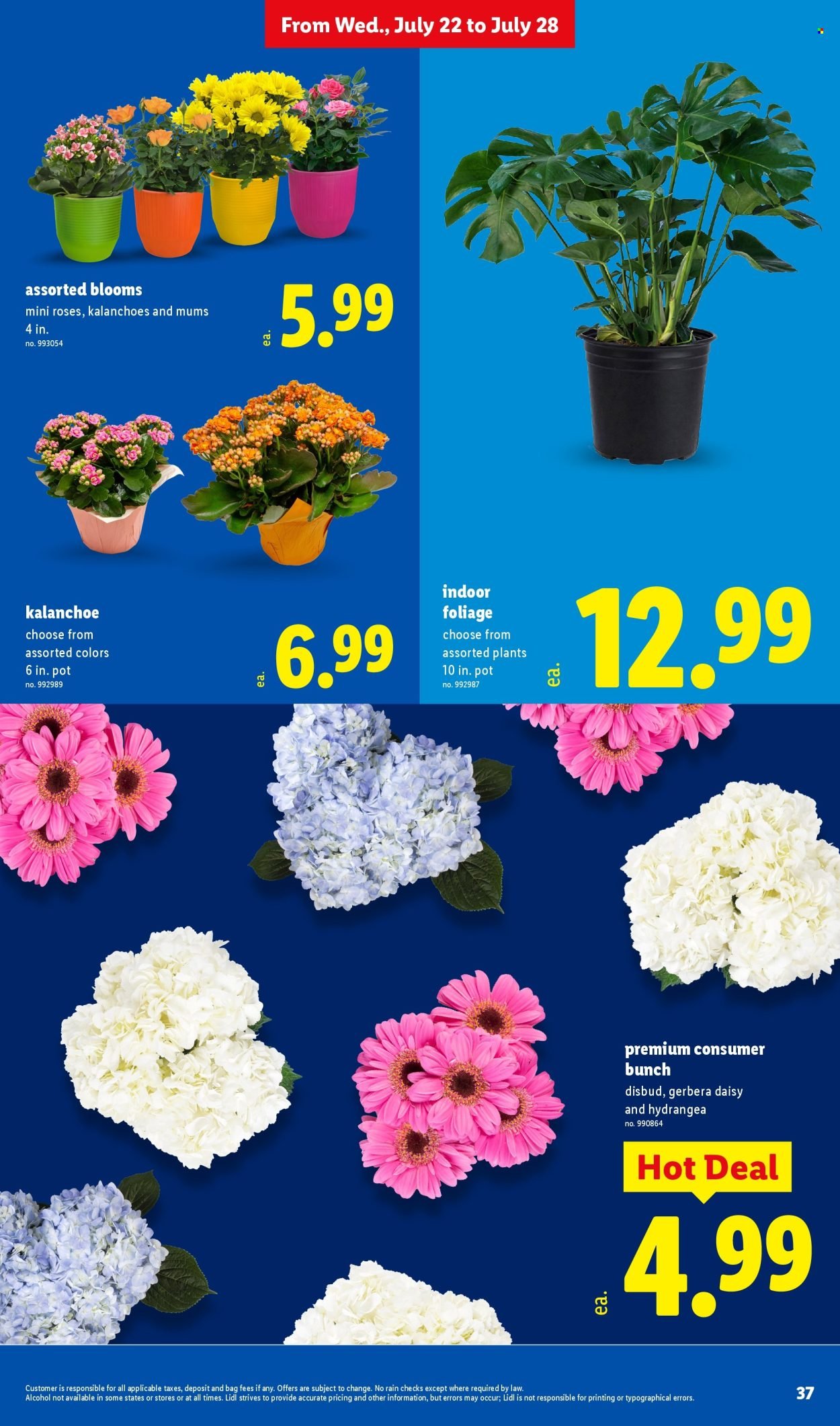 LIDL ad - Weekly Ad