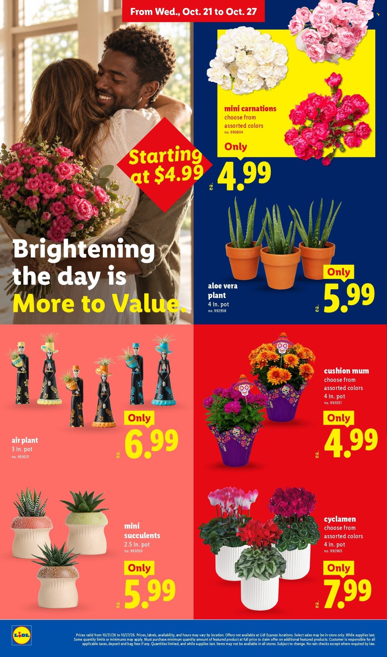 LIDL ad - Weekly Ad