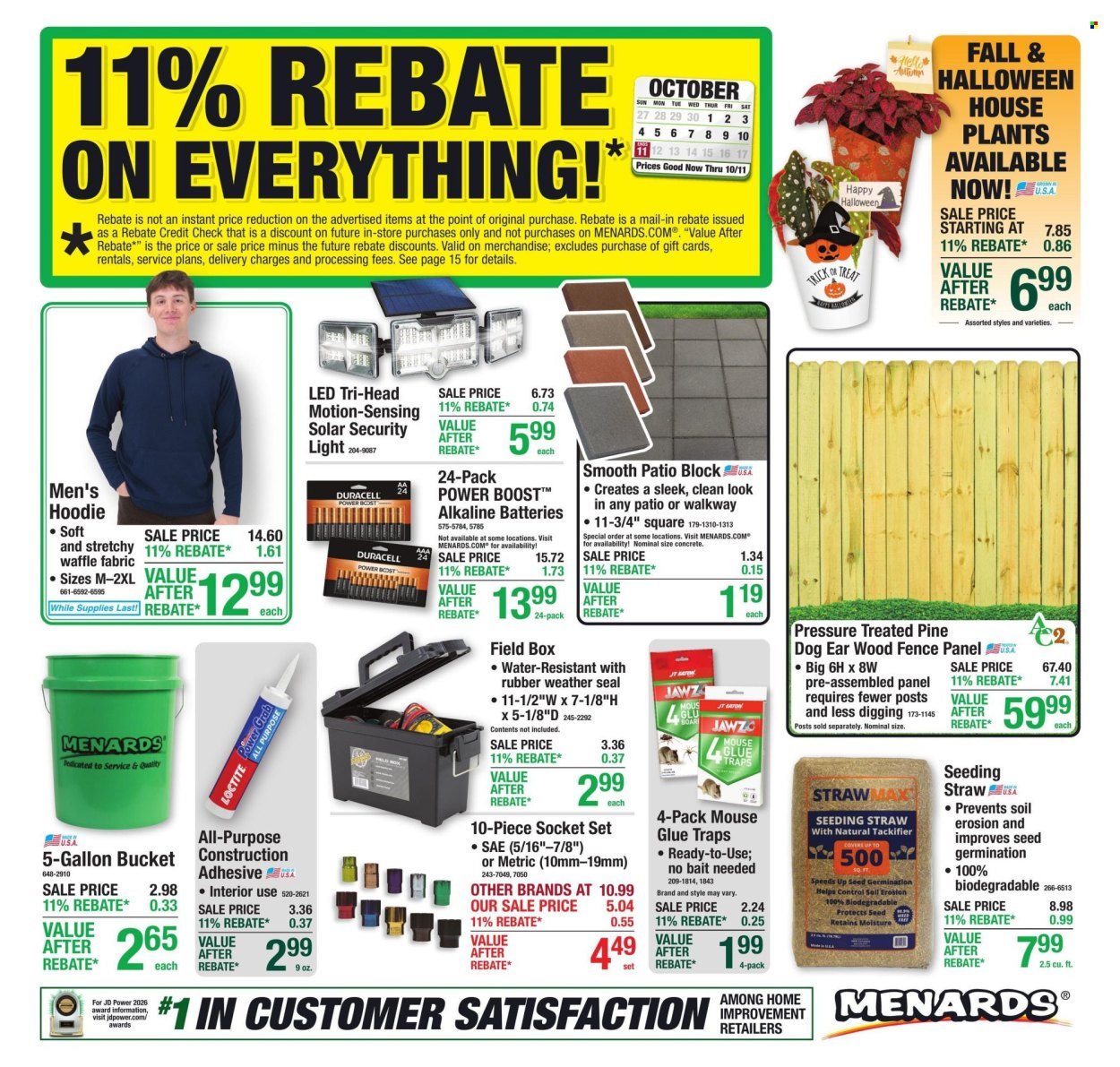 MENARDS ad - 11% Rebate* Sale