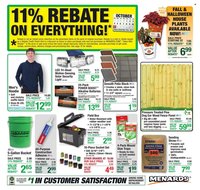 MENARDS ad - 11% Rebate* Sale