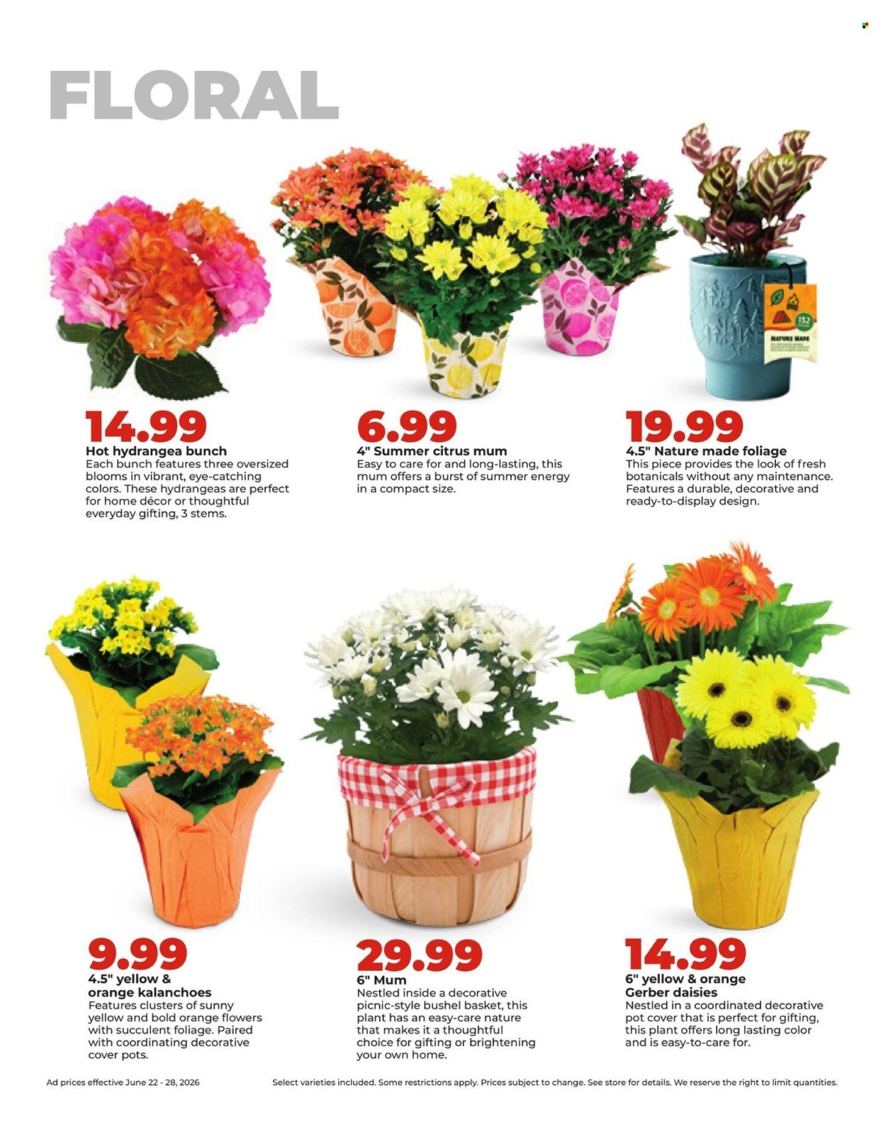 HY-VEE ad - Weekly Ad