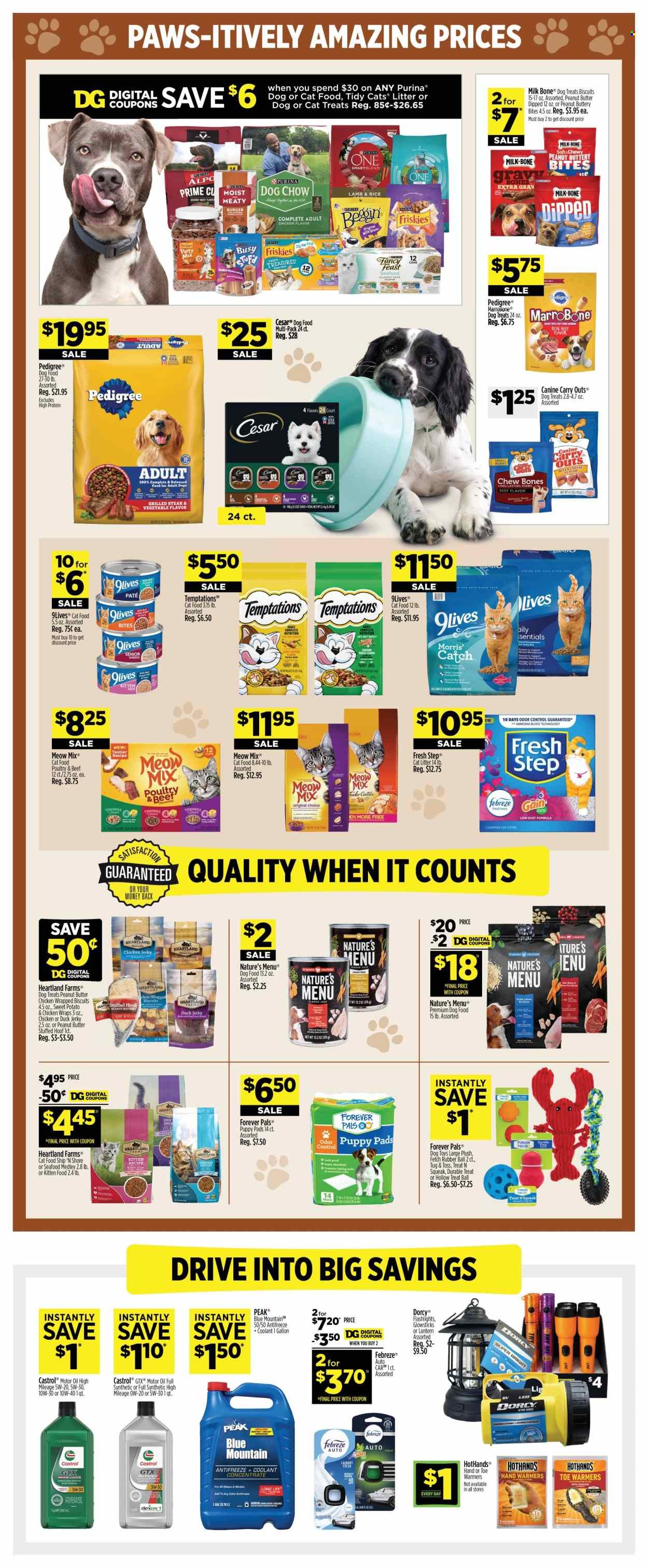 DOLLAR GENERAL ad - Weekly Ad