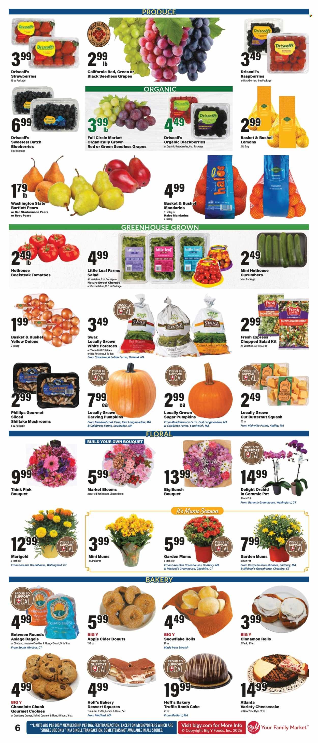 BIG Y ad - Weekly Ad