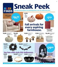 ALDI ad - In Store Ad
