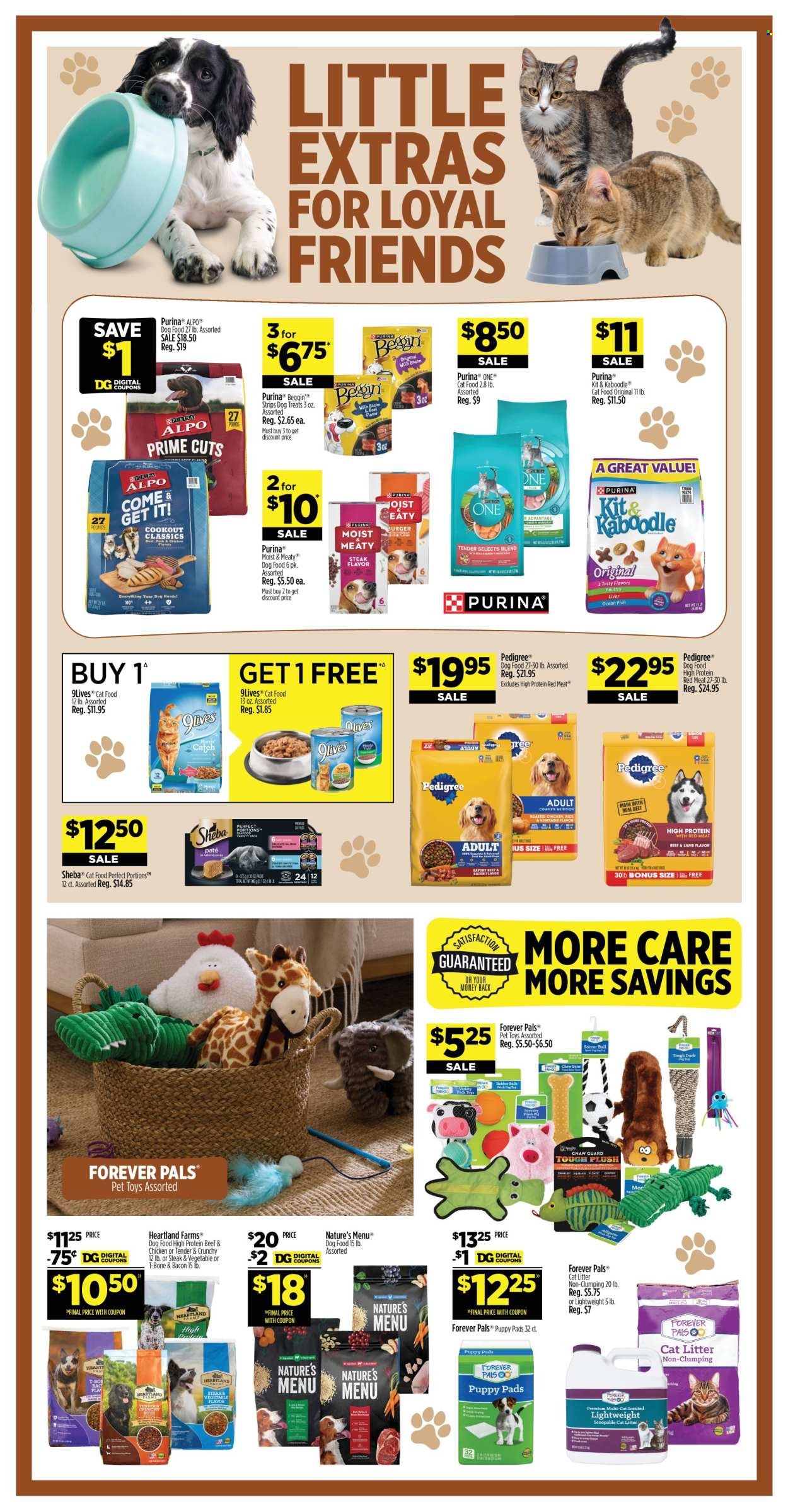 DOLLAR GENERAL ad - Weekly Ad