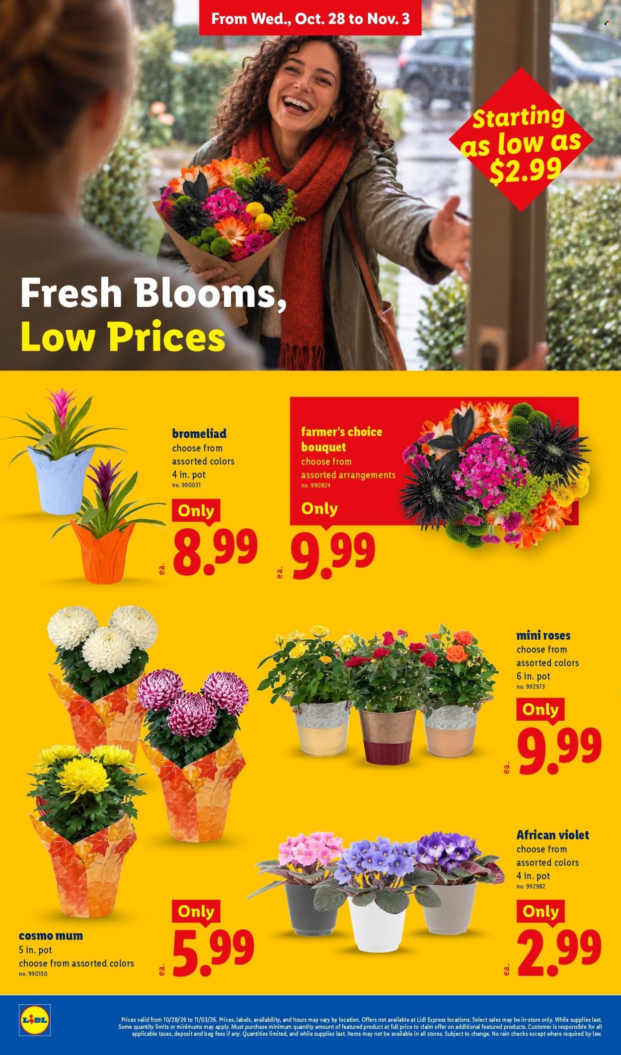 LIDL ad - Weekly Ad